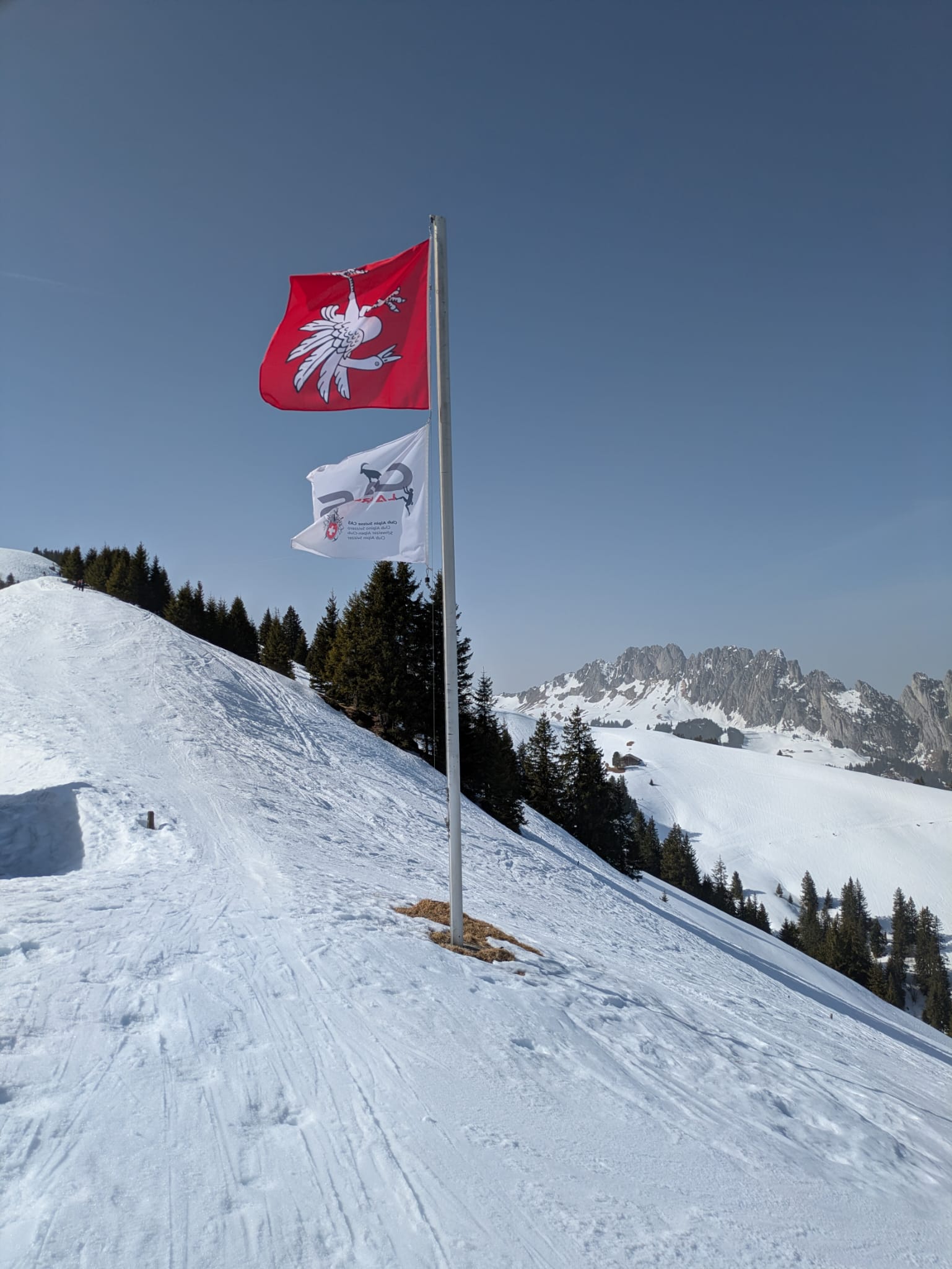 Les drapeaux de la cabane (ouverte)