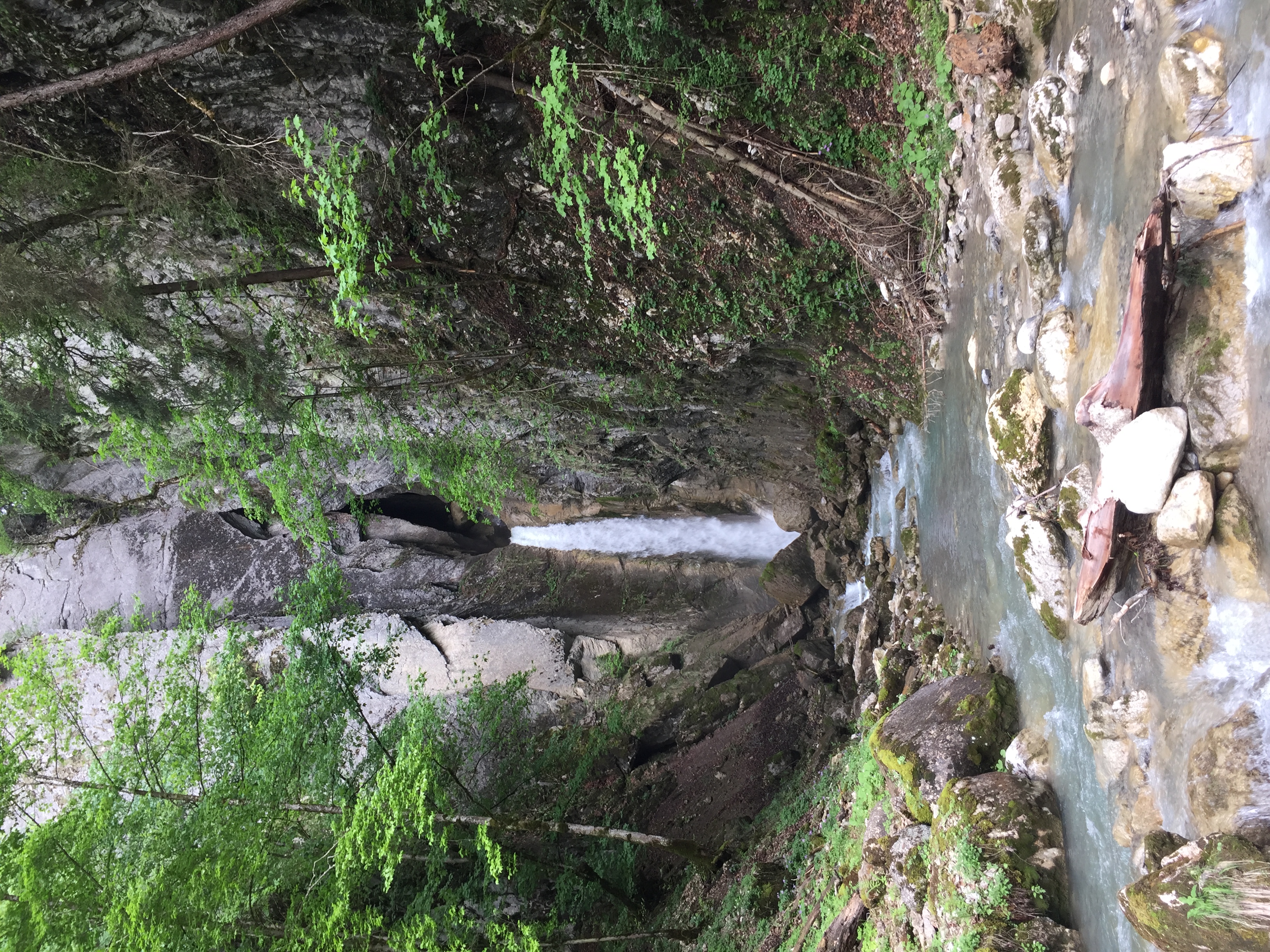 Cascade de Grandvillard