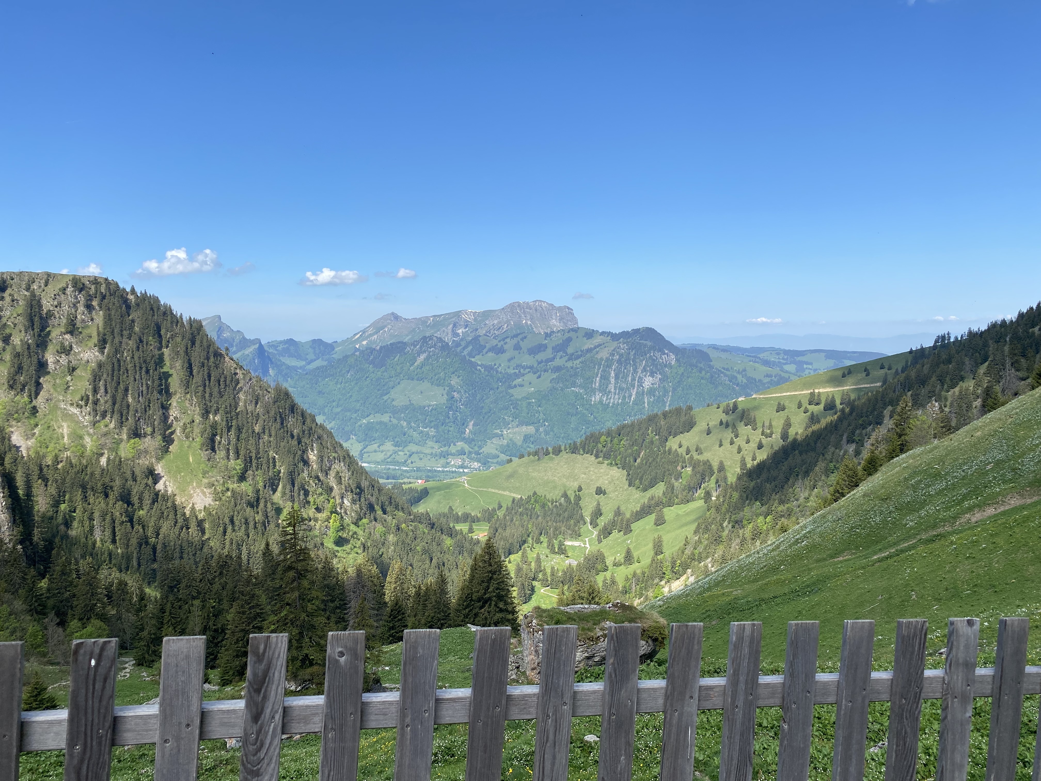 photo de Tsermon