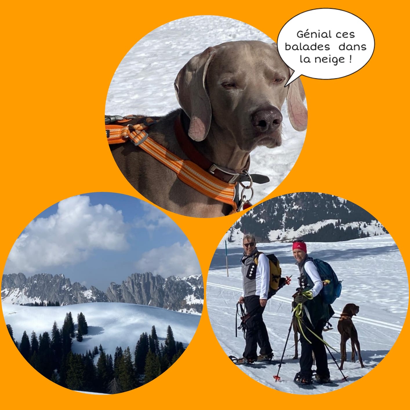 Résumé (Montage de Christiane Matthey)