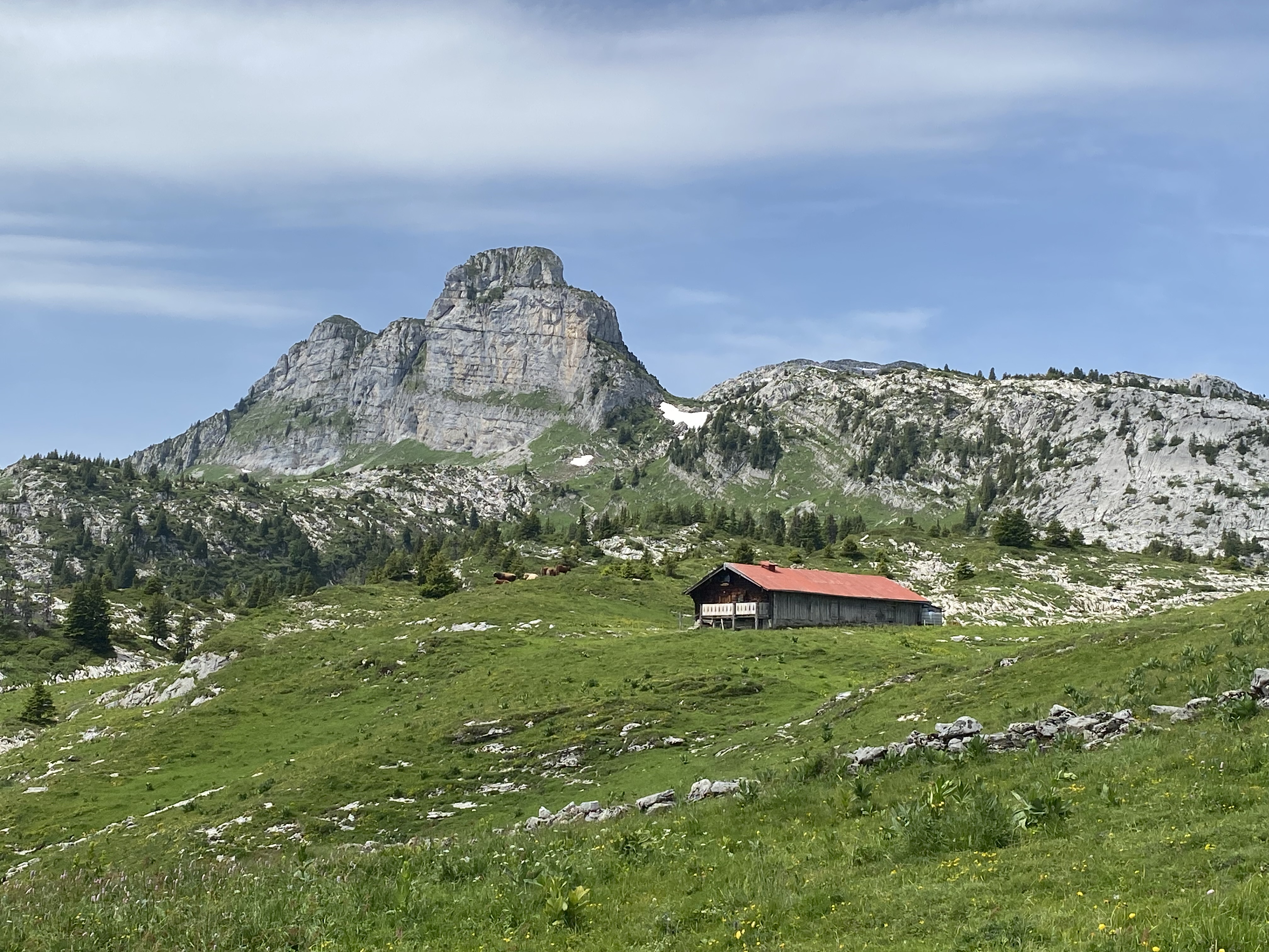 photo de Tour de Famelon