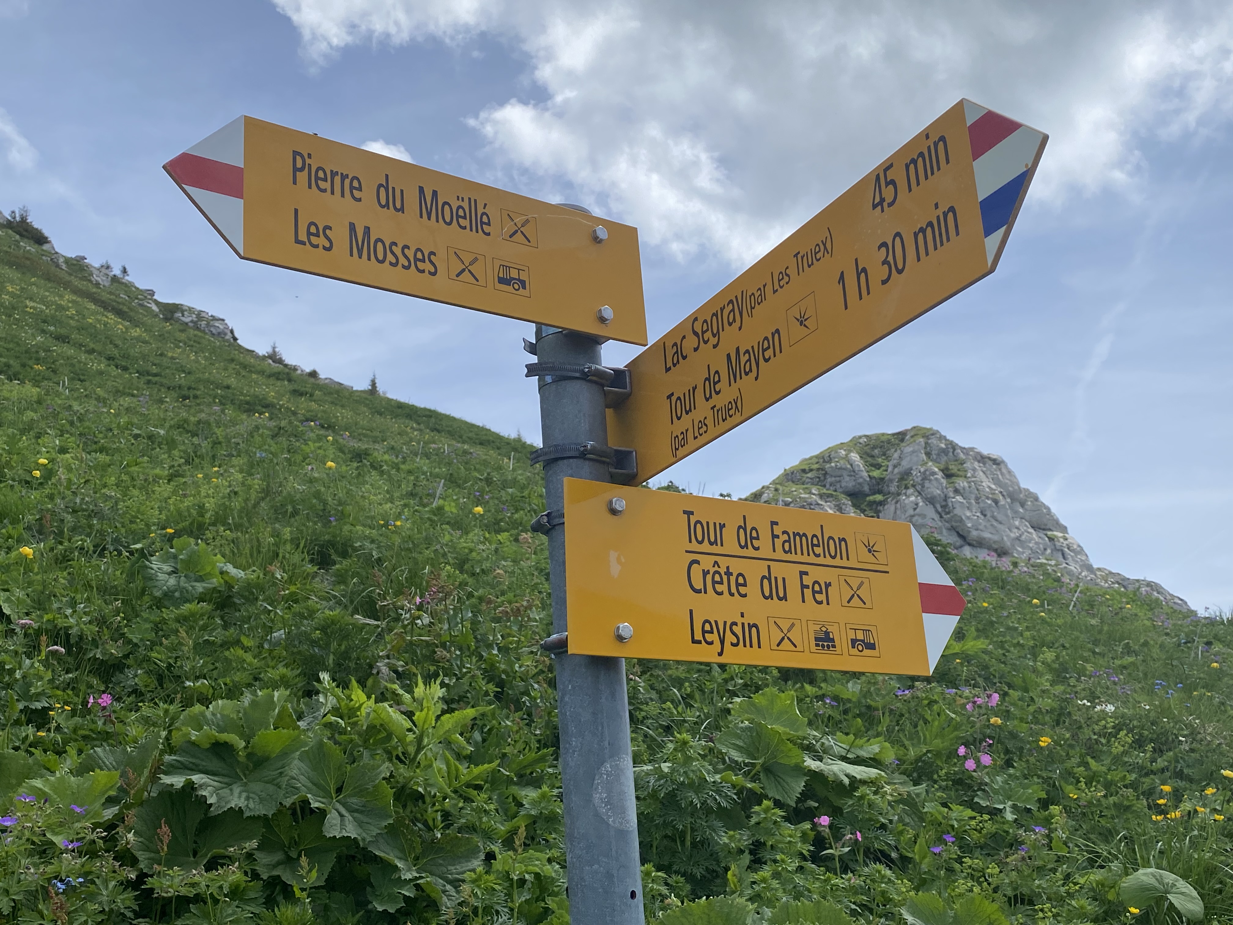photo de Tour de Famelon