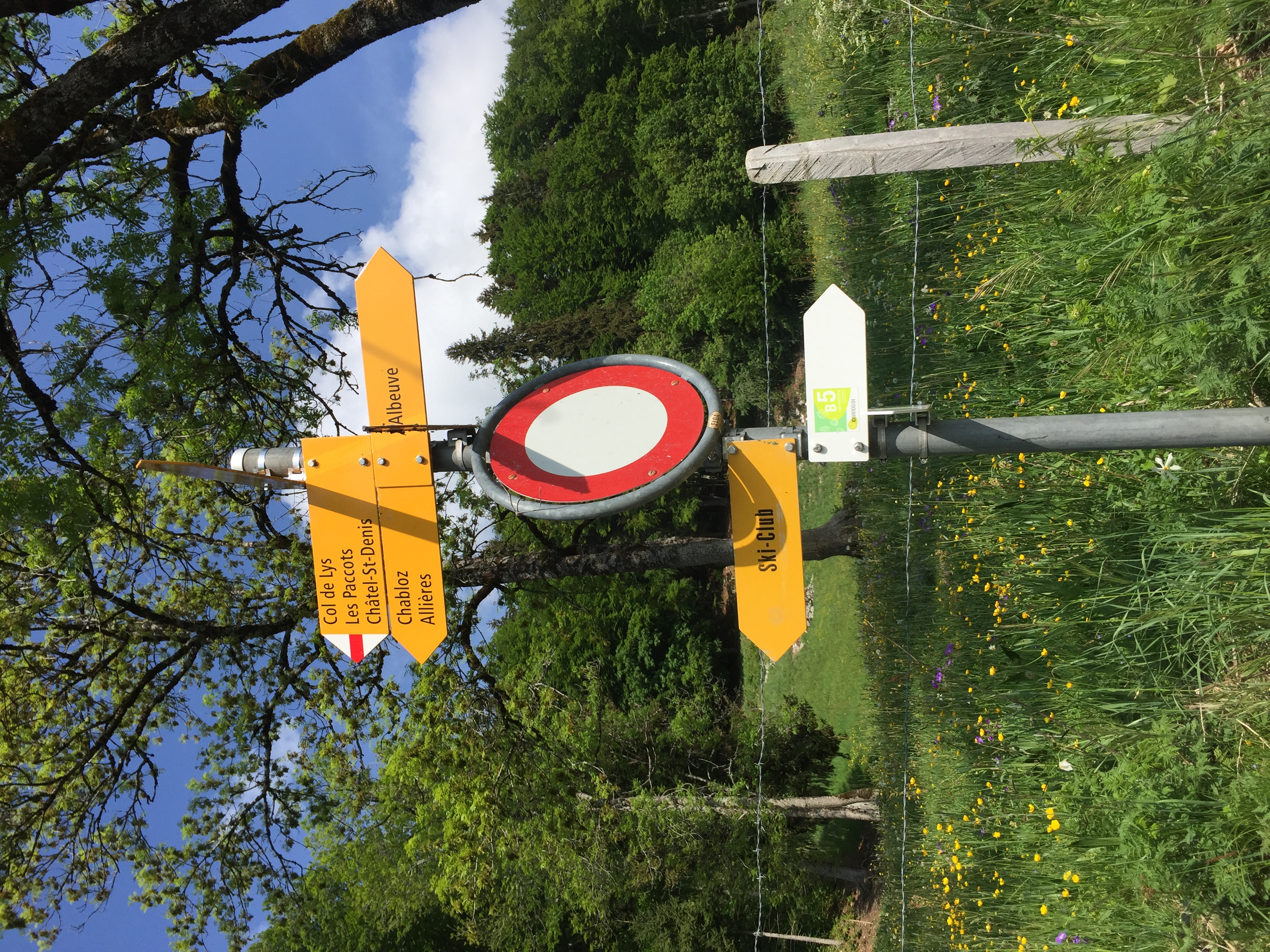 photo de Col de Lys