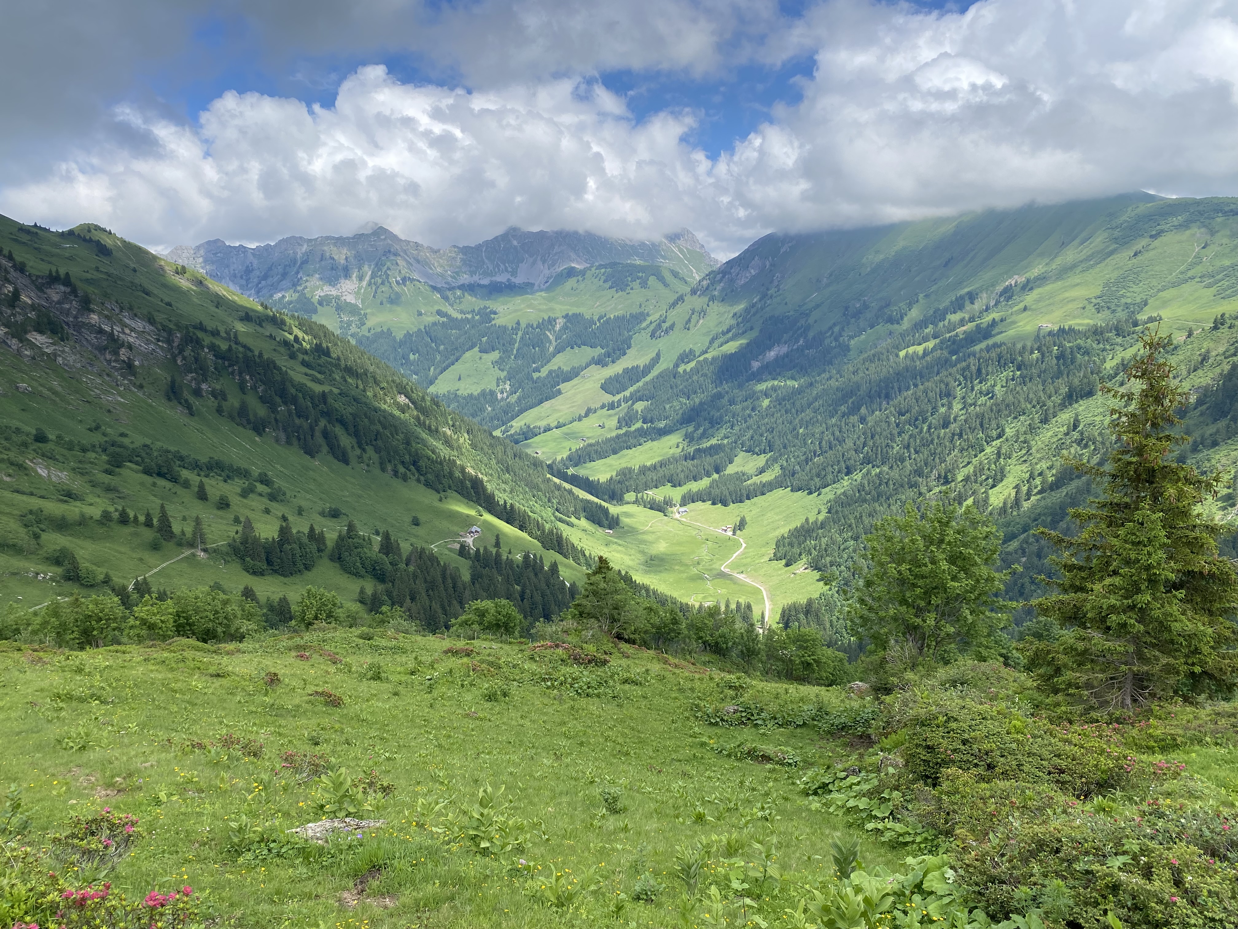 photo de Col d'Isenau