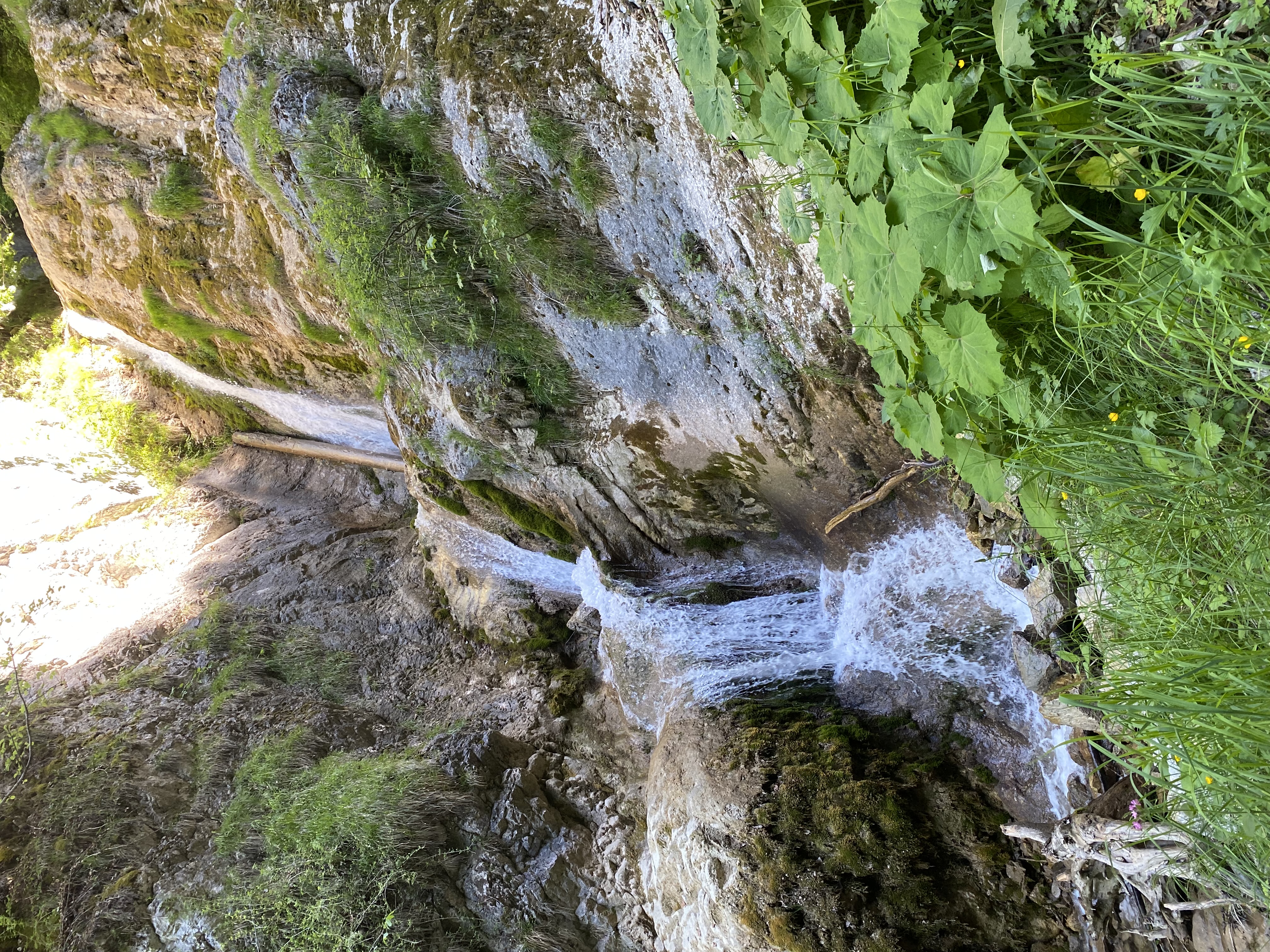 photo de Dent du Bourgo