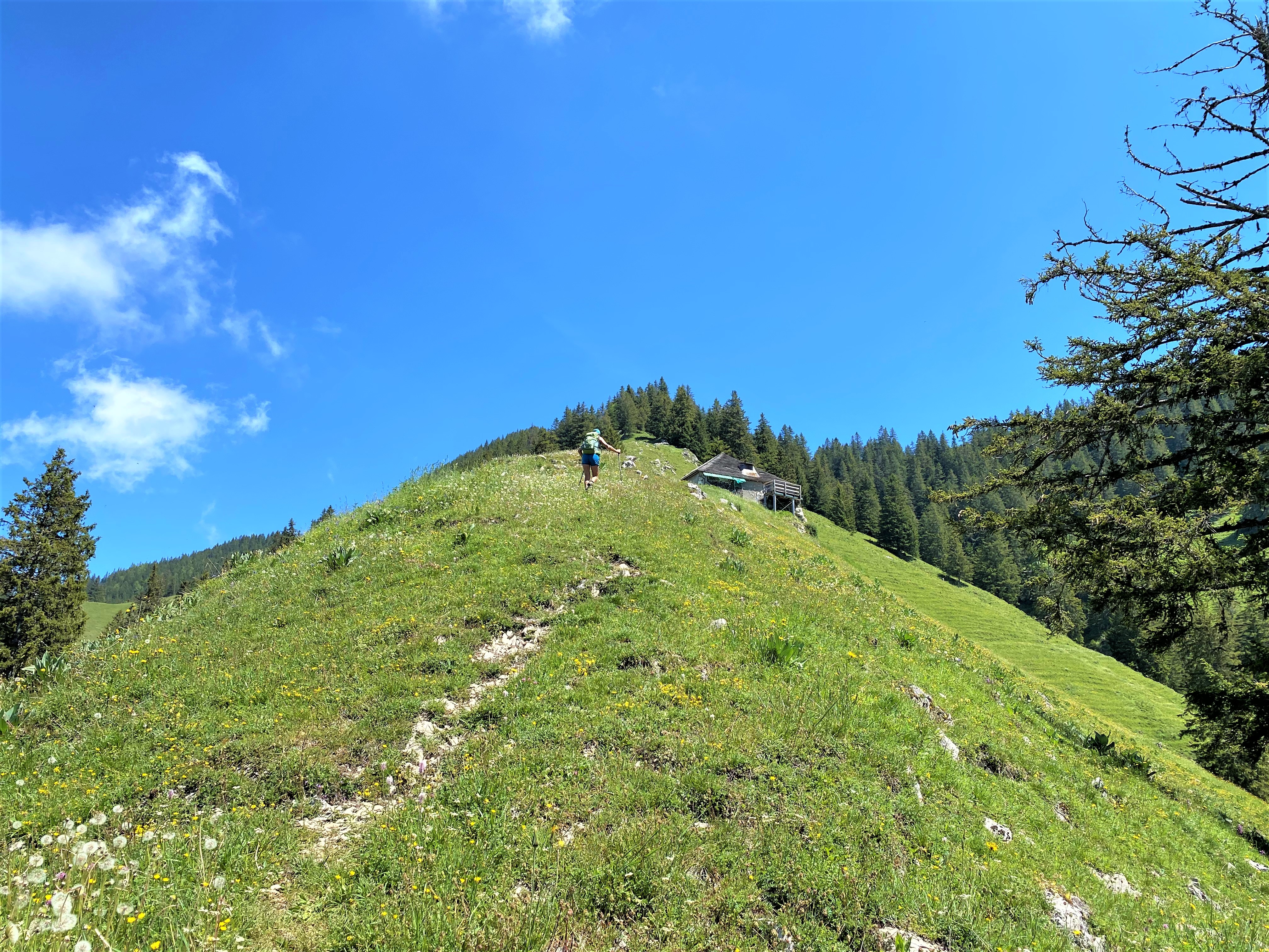 photo de Dent du Bourgo