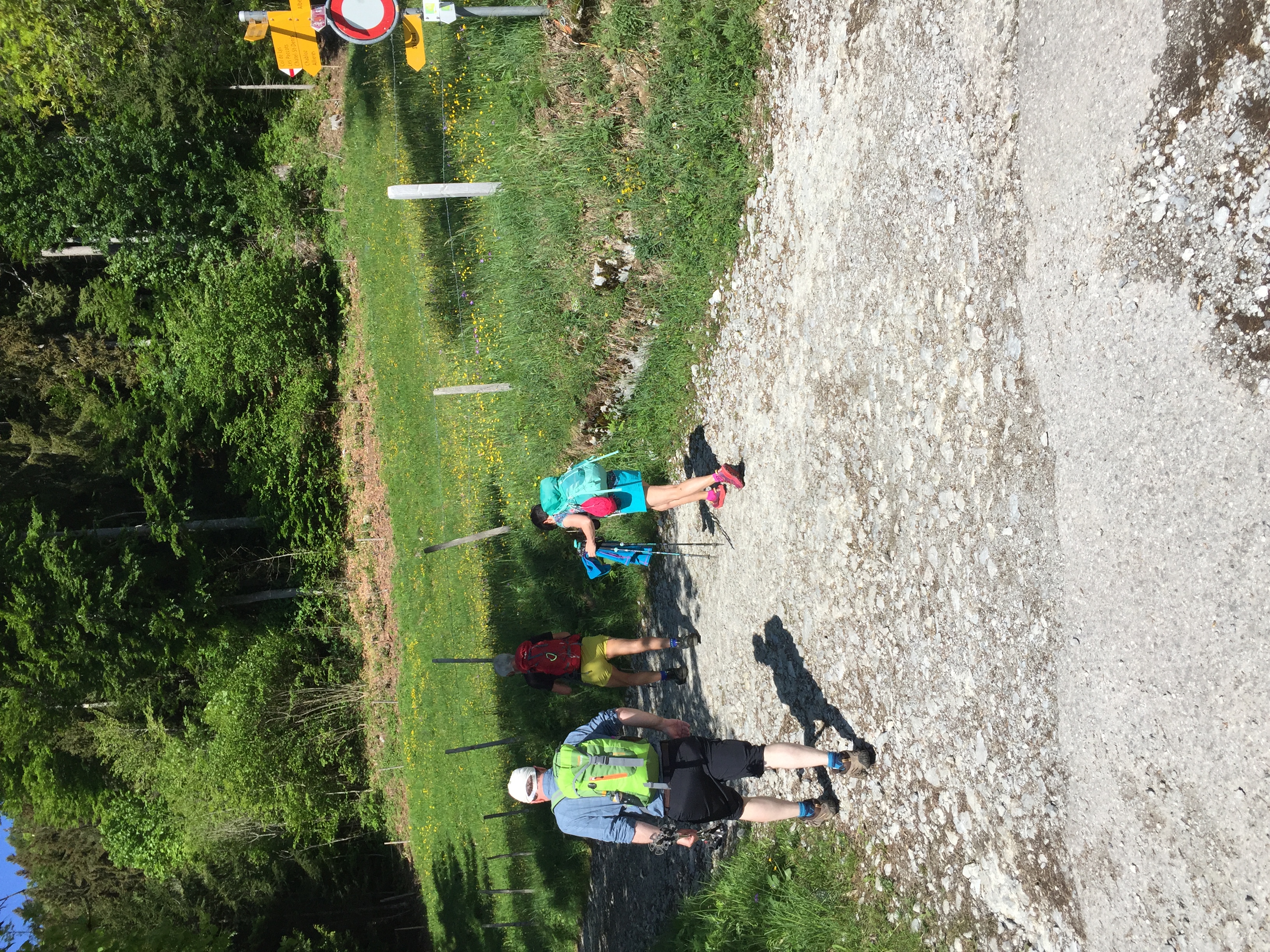 photo de Col de Lys