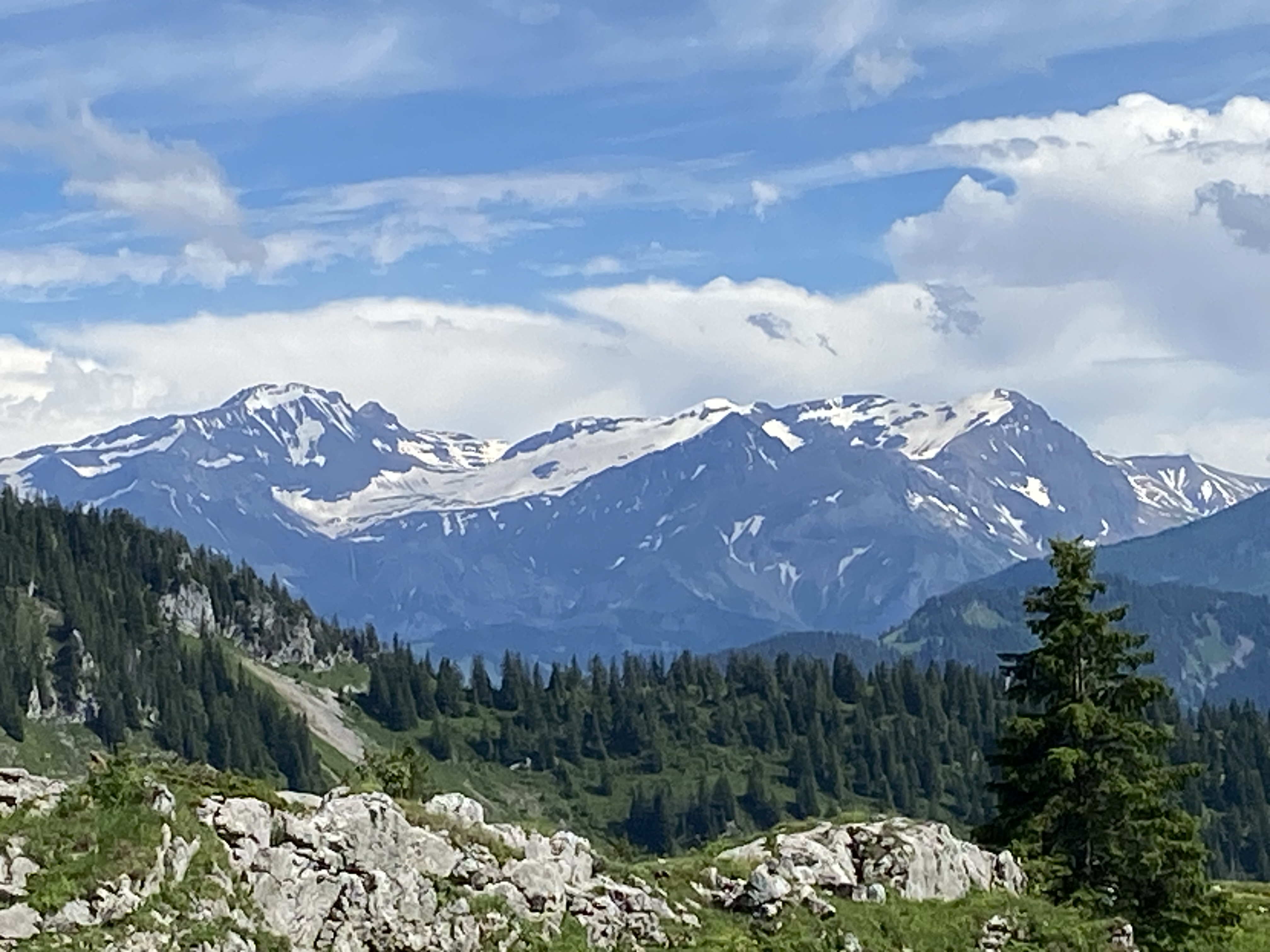 Vue sur le Wildhorn à gauche