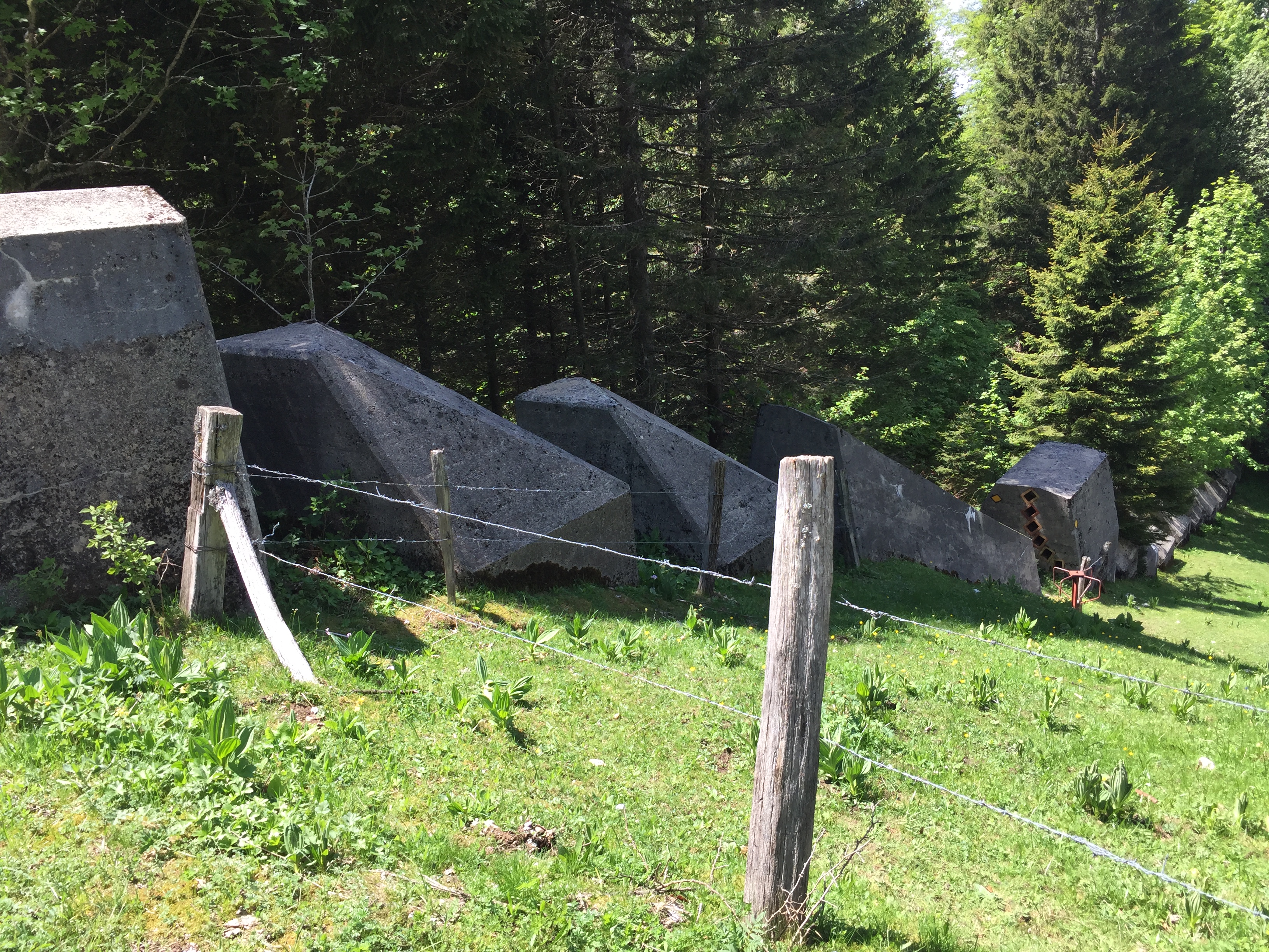 photo de Aiguilles de Baulmes (Les)