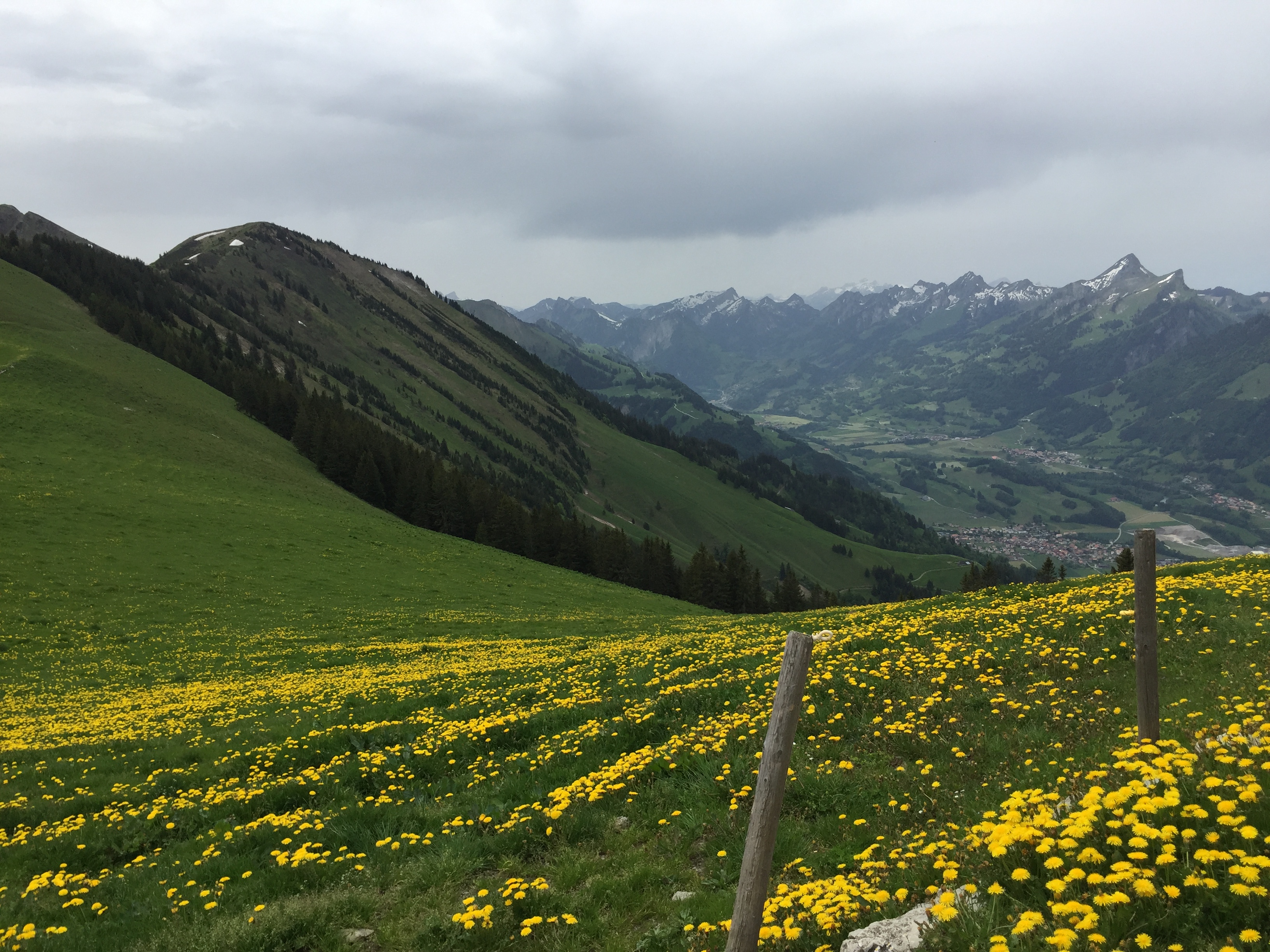 photo de Merlas (Les)