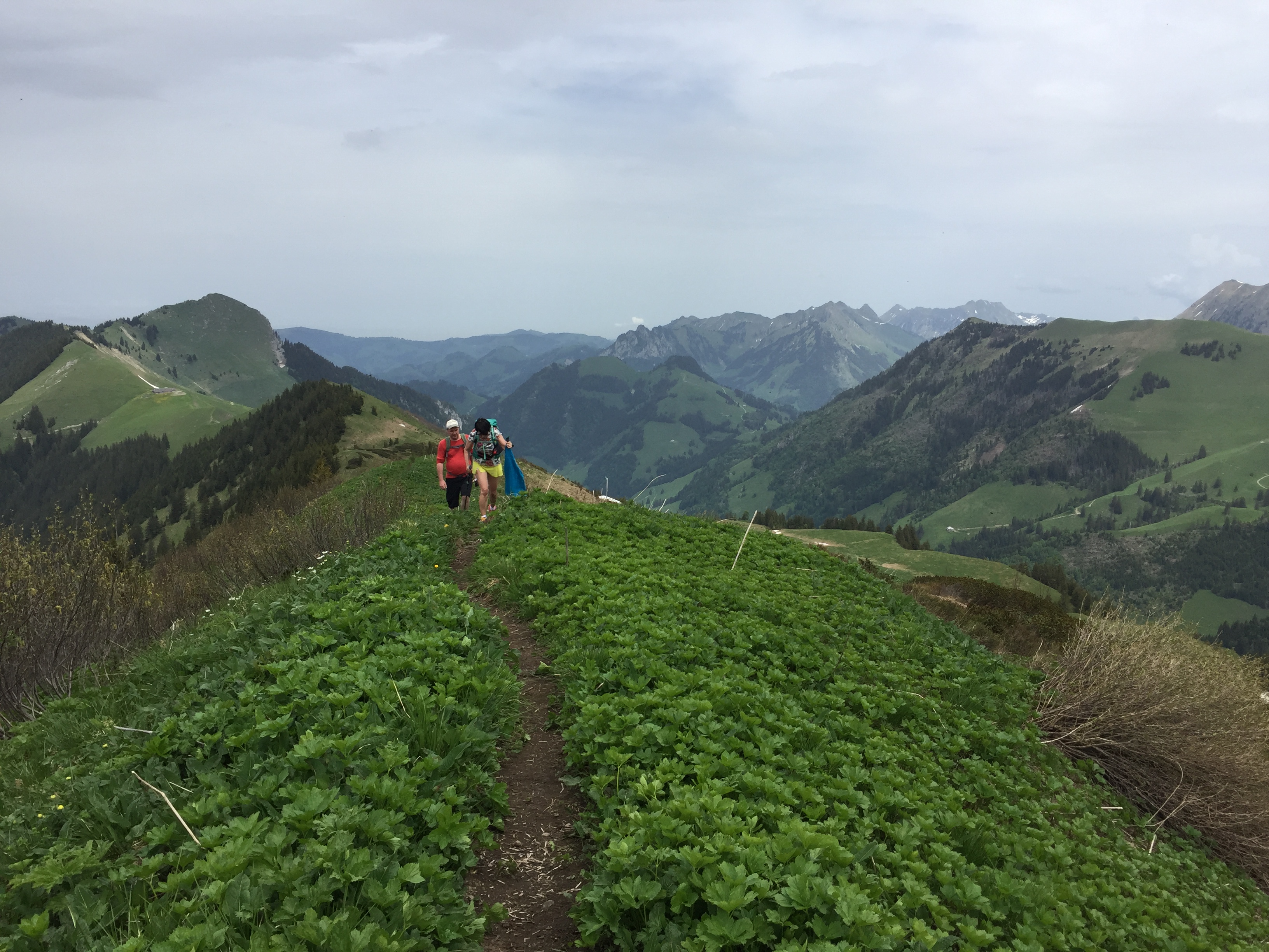 photo de Merlas (Les)