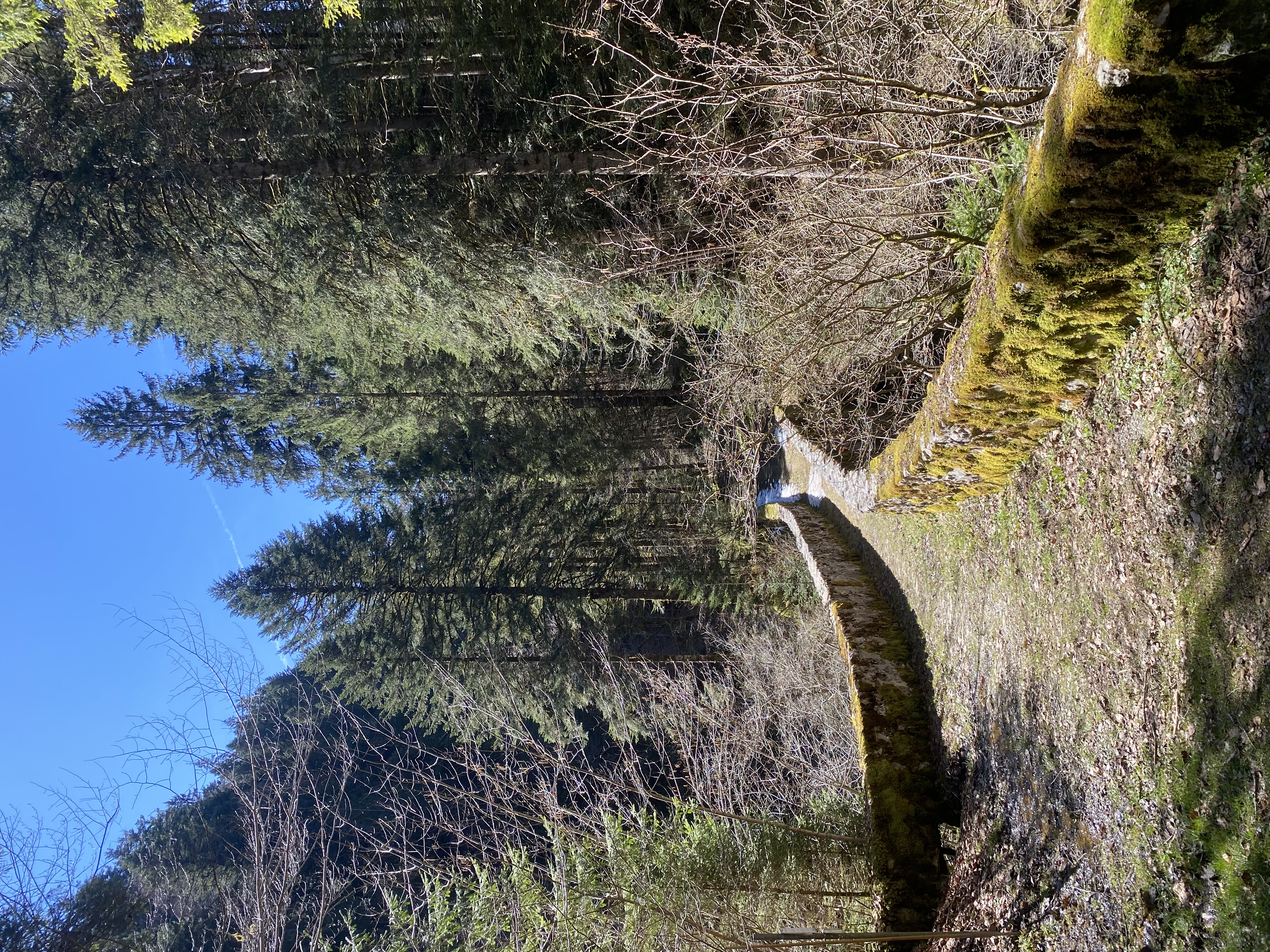 photo de Boucle Montbovon > Allières > Les Sciernes > Montbovon