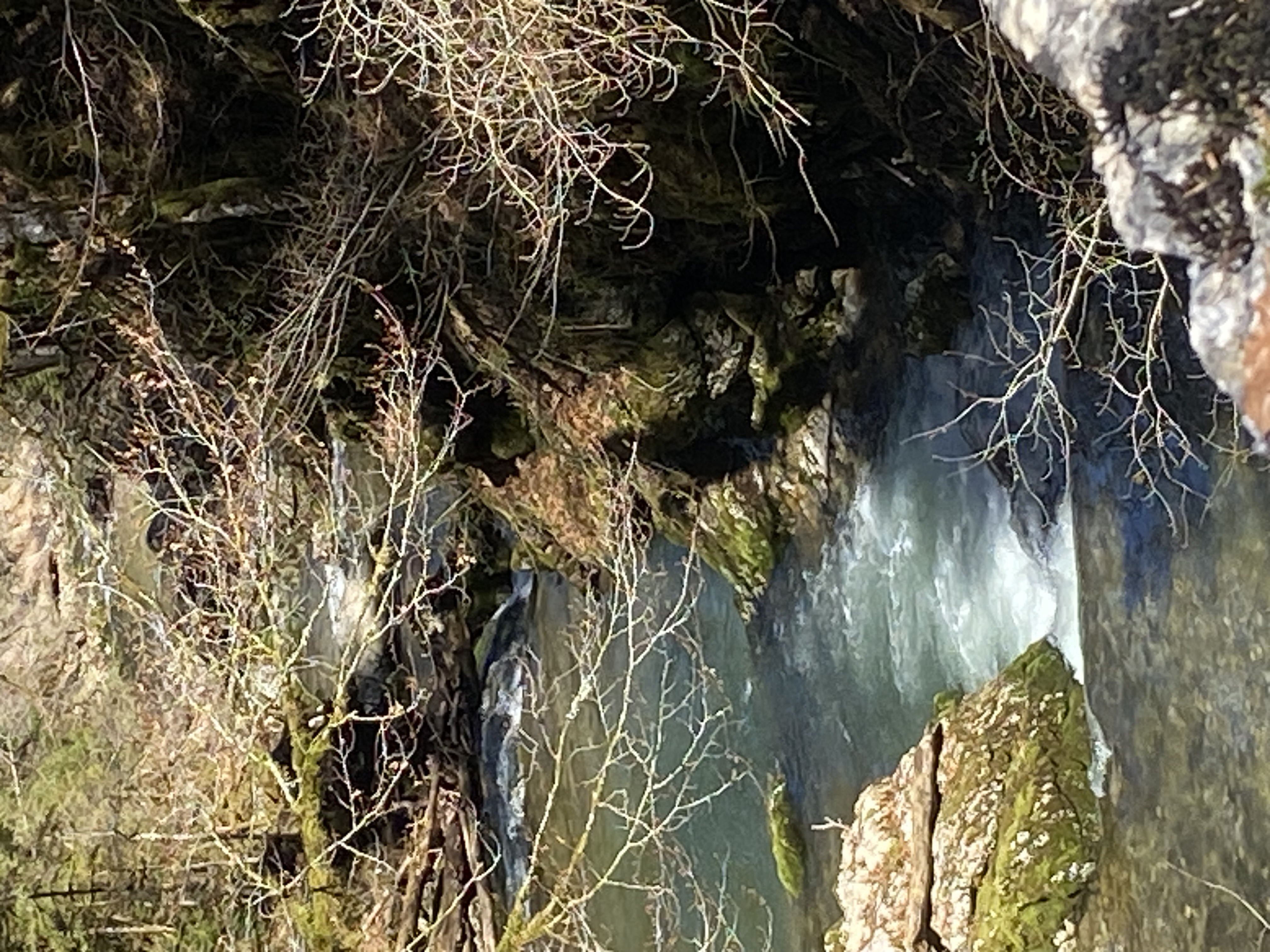 photo de Boucle Montbovon > Allières > Les Sciernes > Montbovon