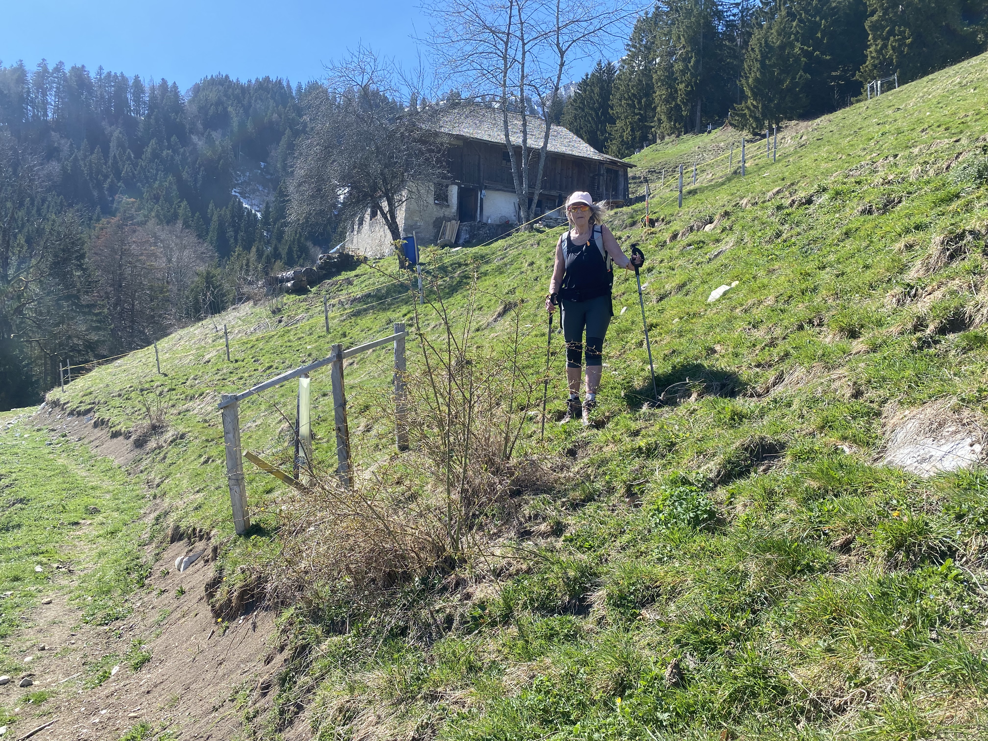 photo de Boucle Montbovon > Allières > Les Sciernes > Montbovon