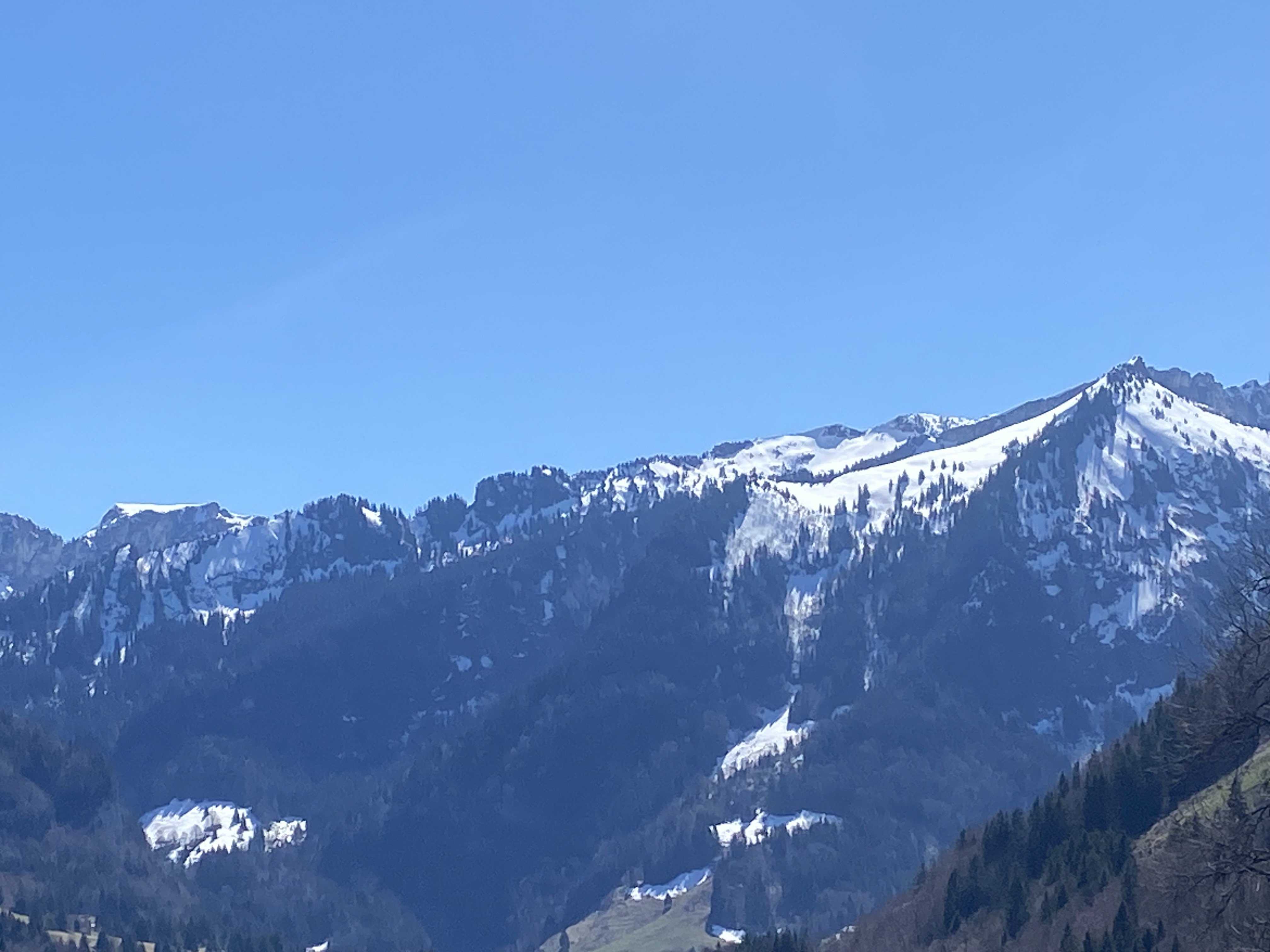 photo de Boucle Montbovon > Allières > Les Sciernes > Montbovon