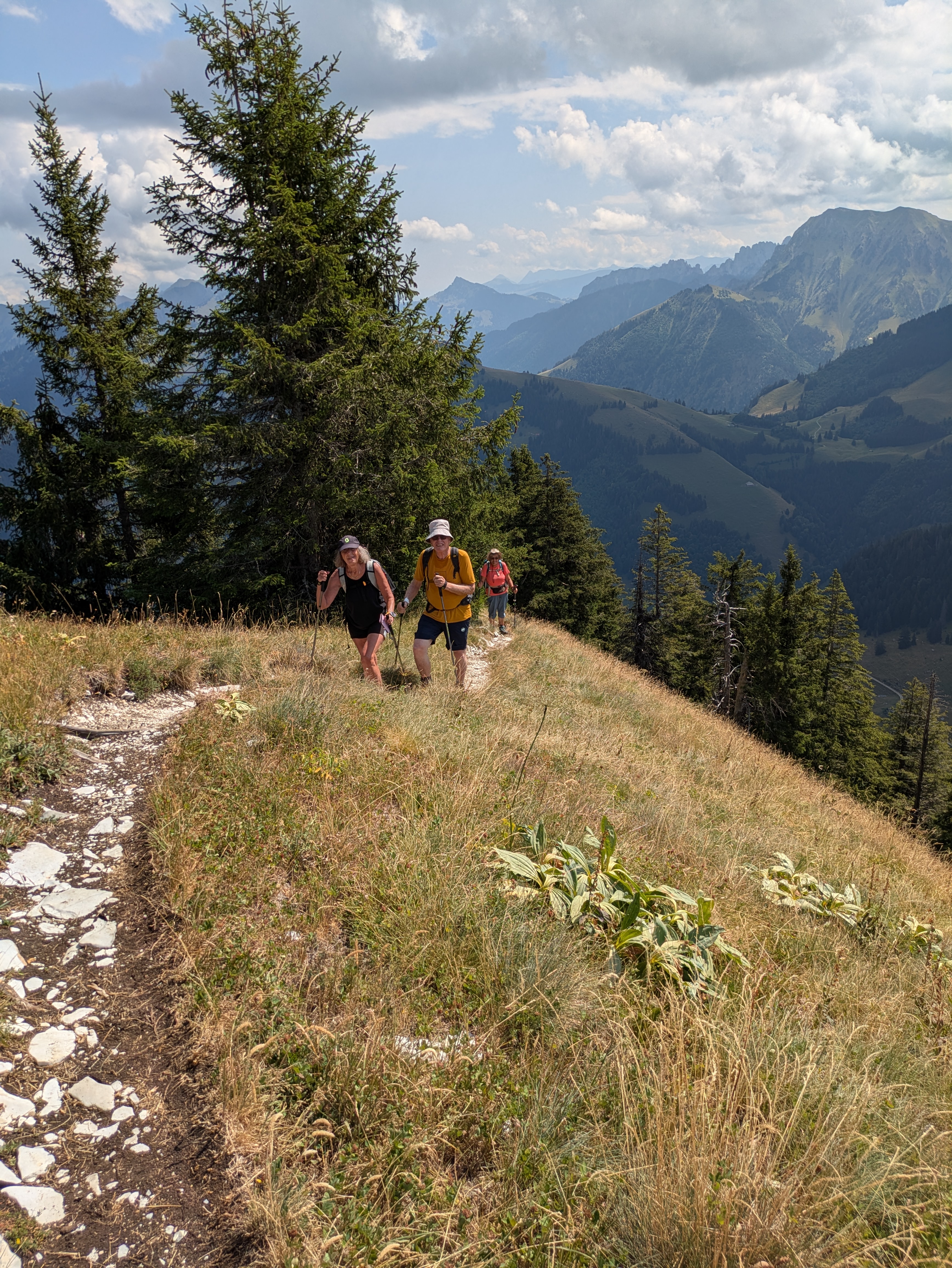 photo de Dent du Chamois