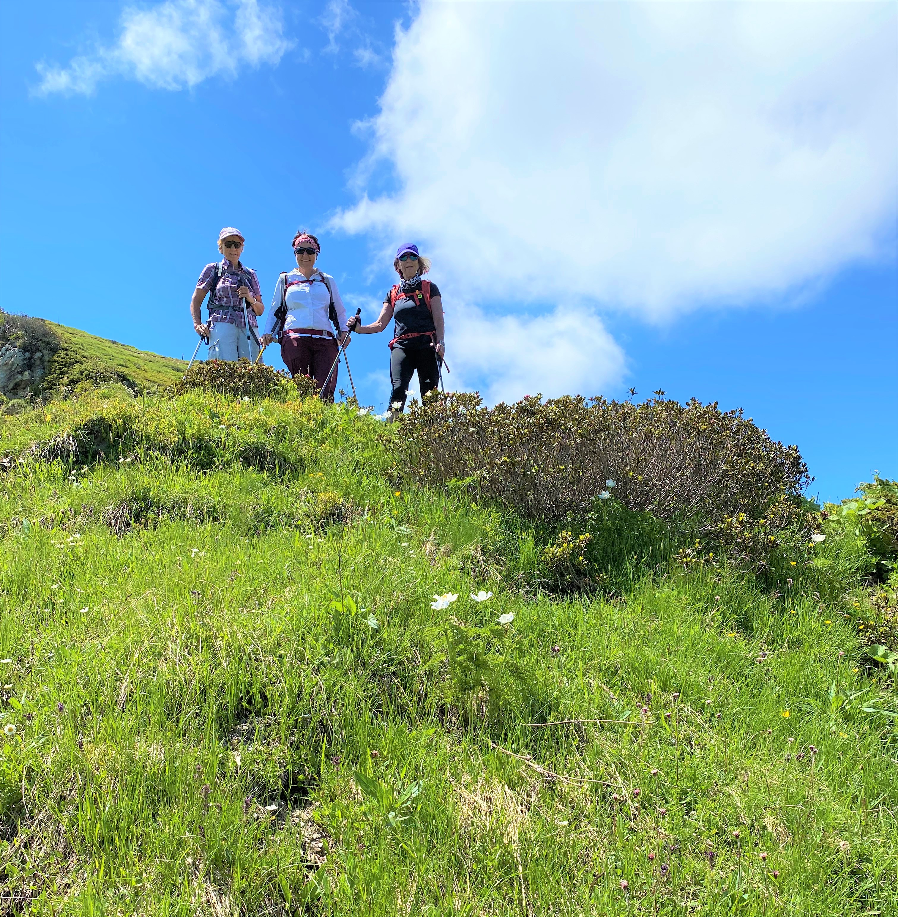 Début de la descente