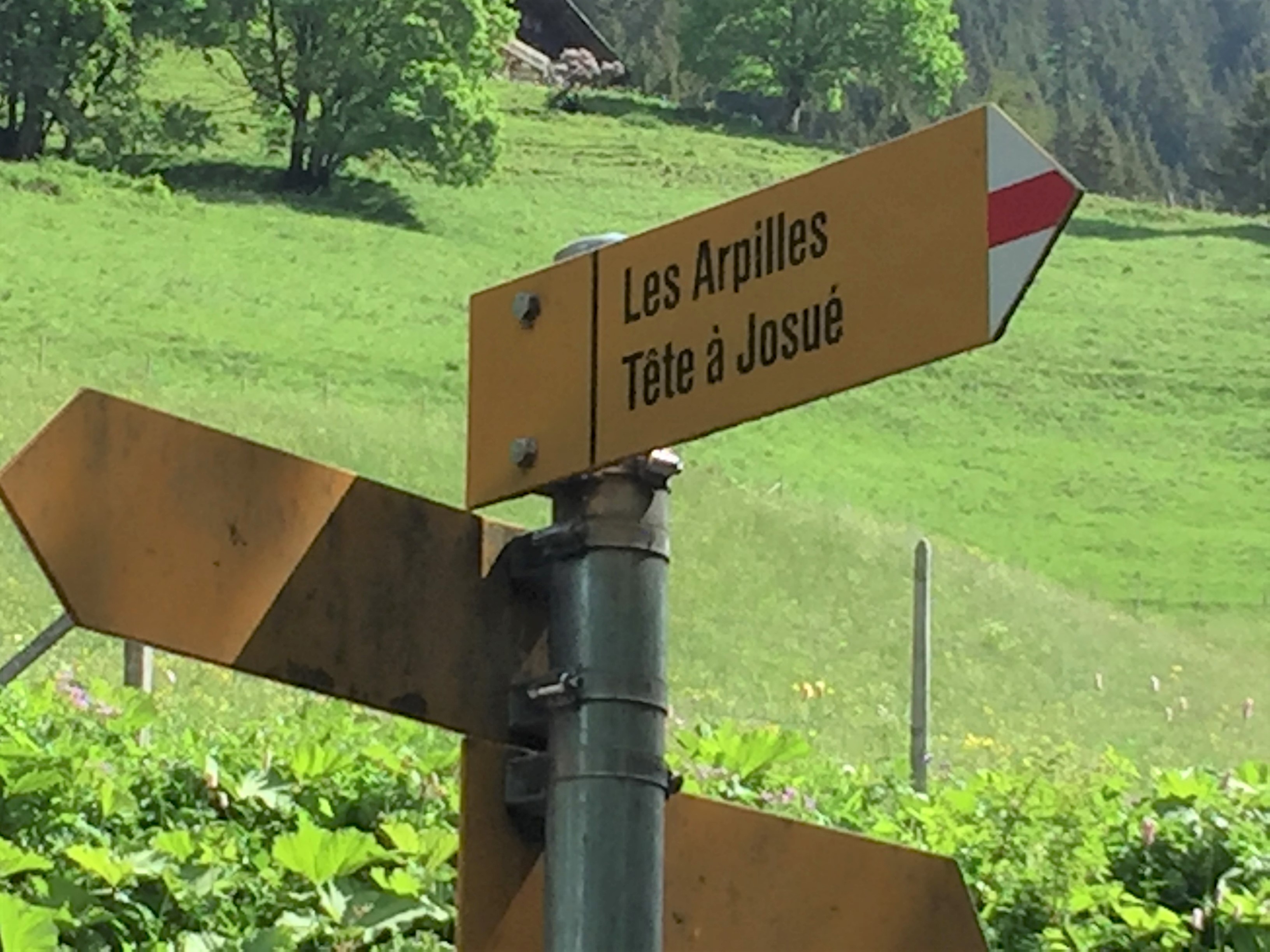 photo de Tête à Josué