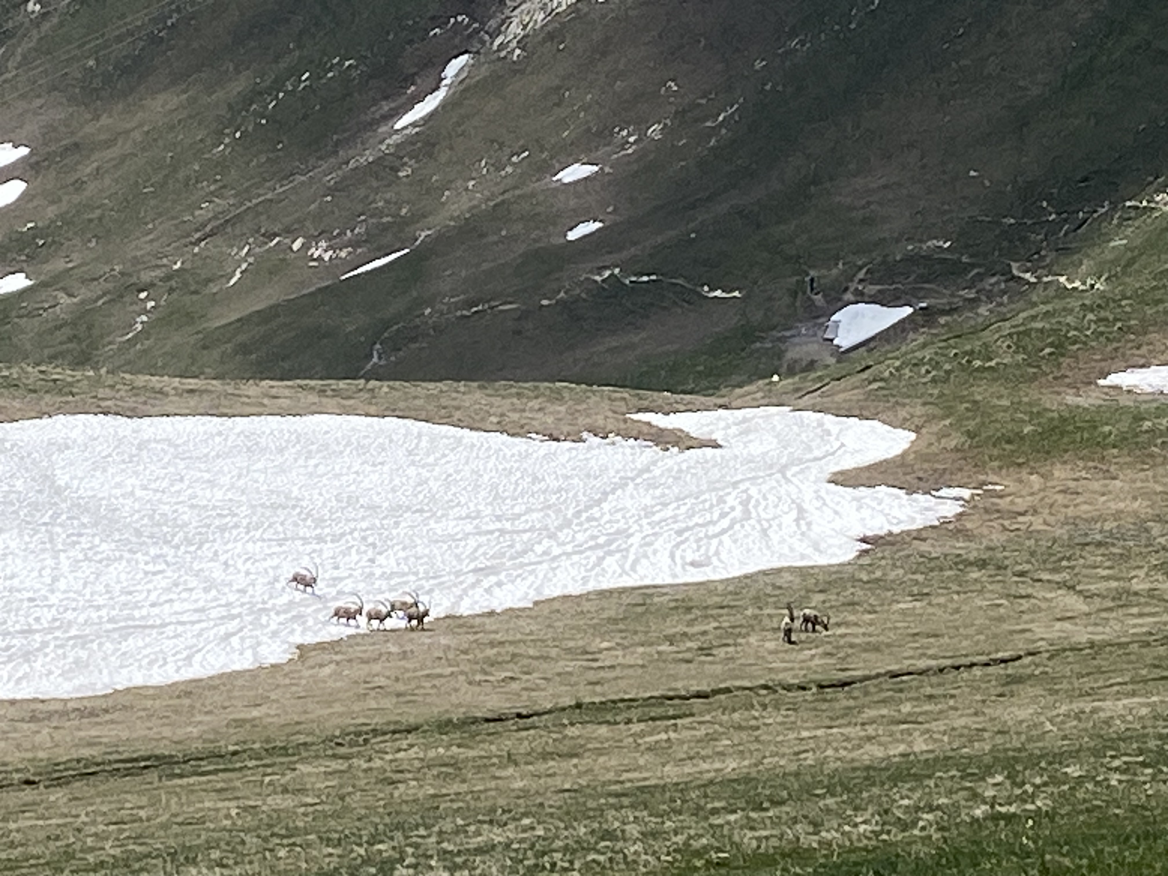 photo de Col de Lys