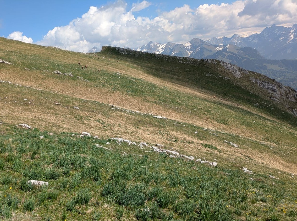 photo de Col de Lys
