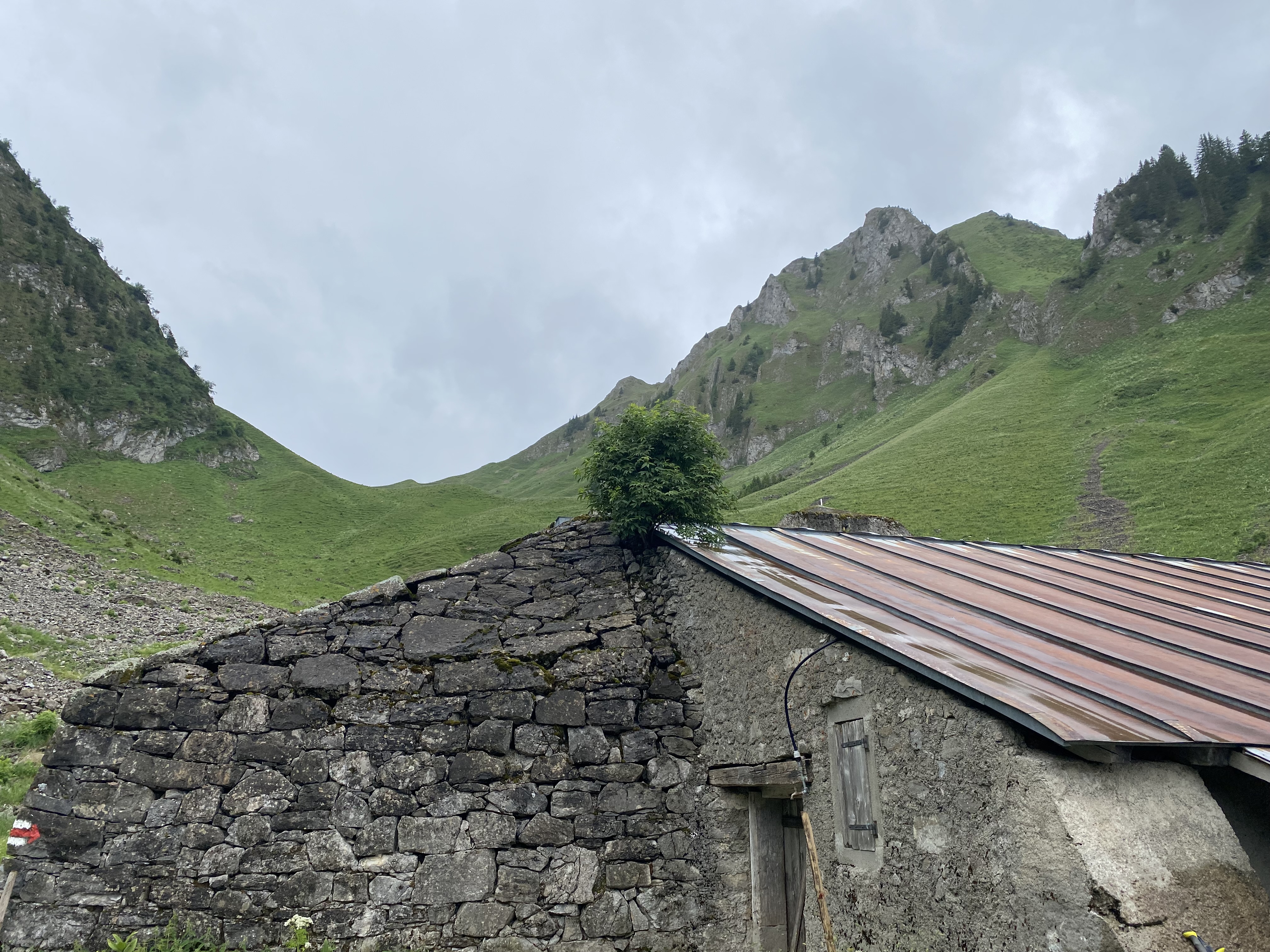 photo de Van (Le)