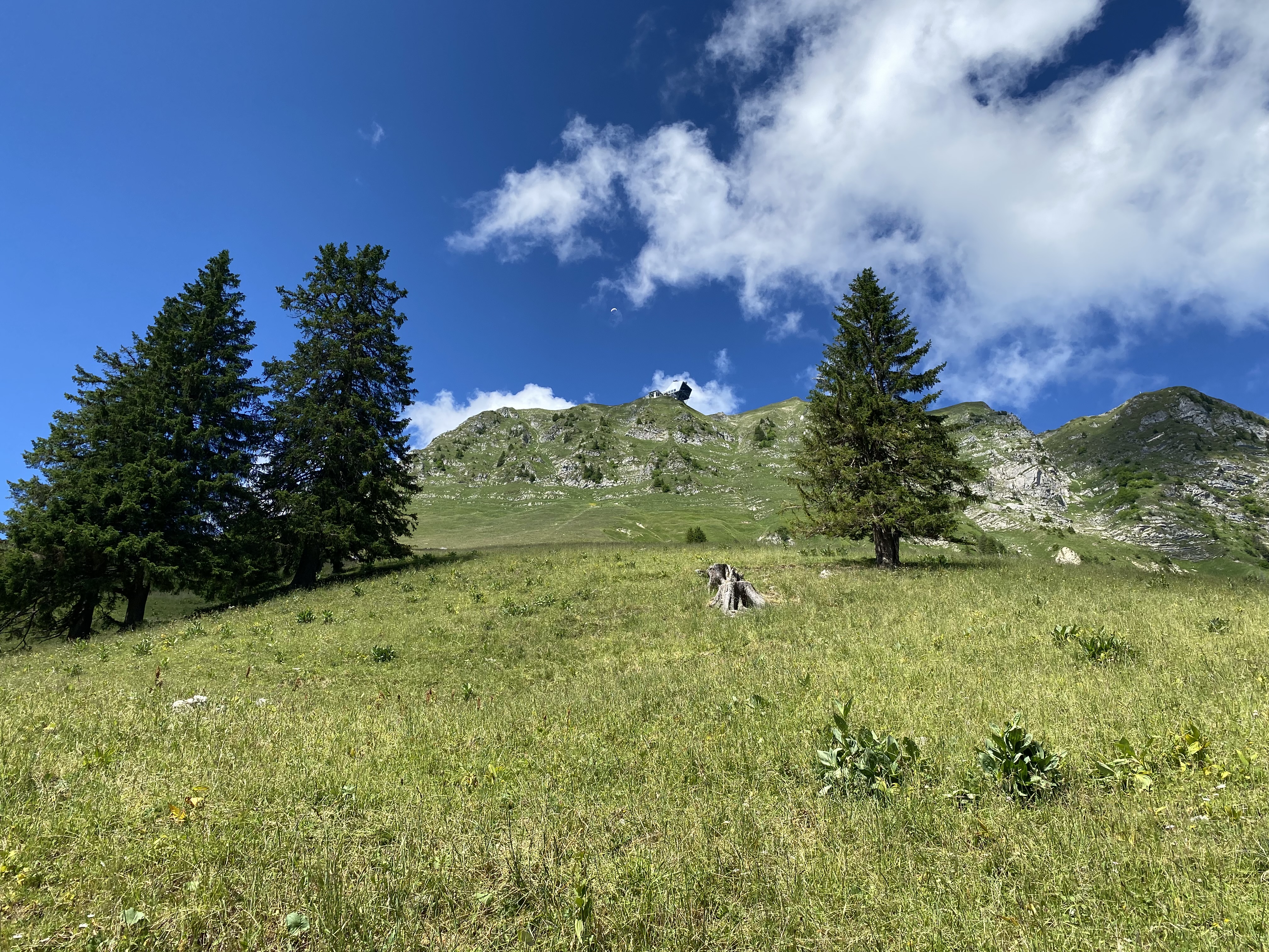 photo de Moléson (Le)