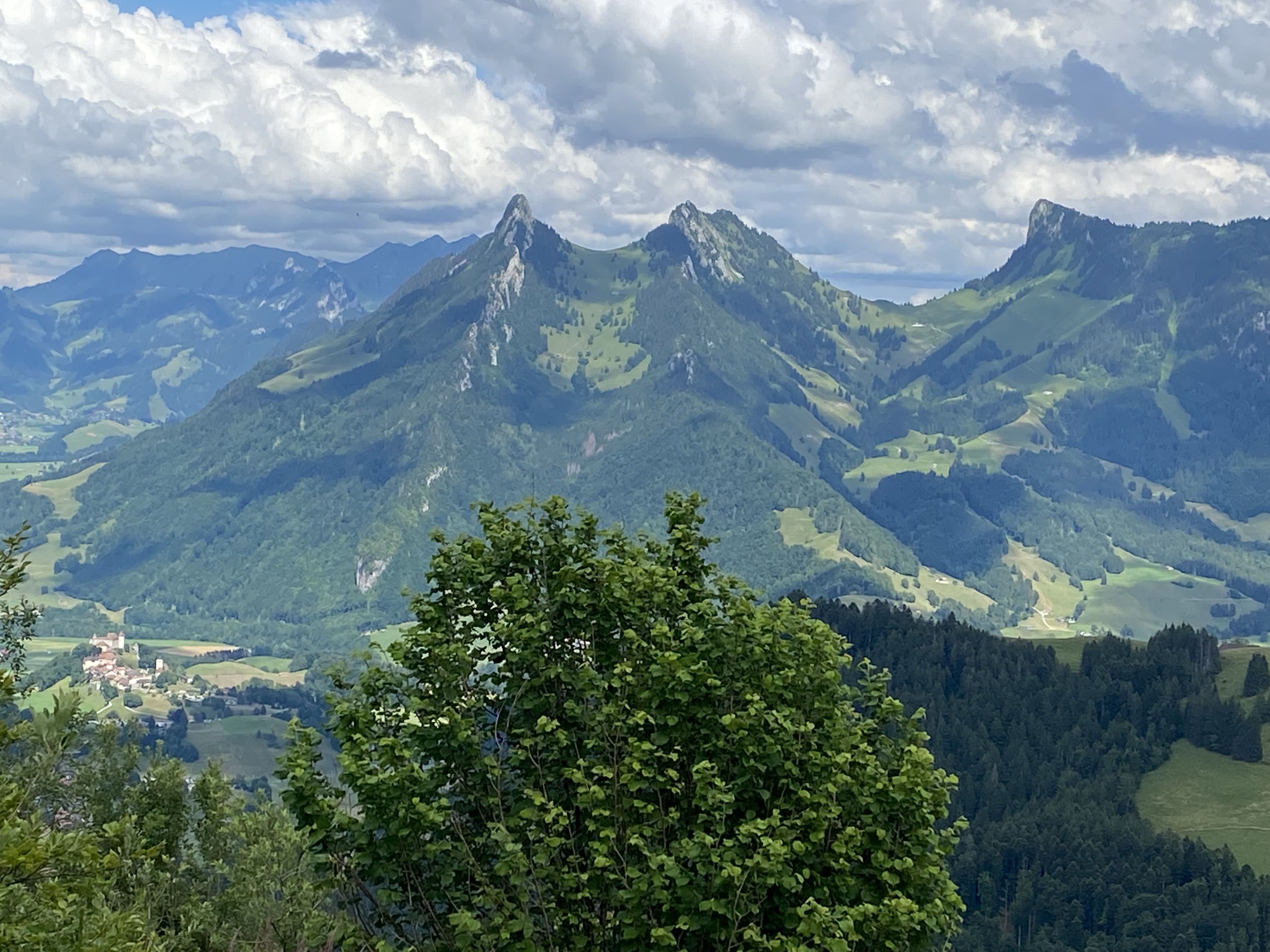 Vue sur les Dents de Broc, du Chamois et du Bourgo