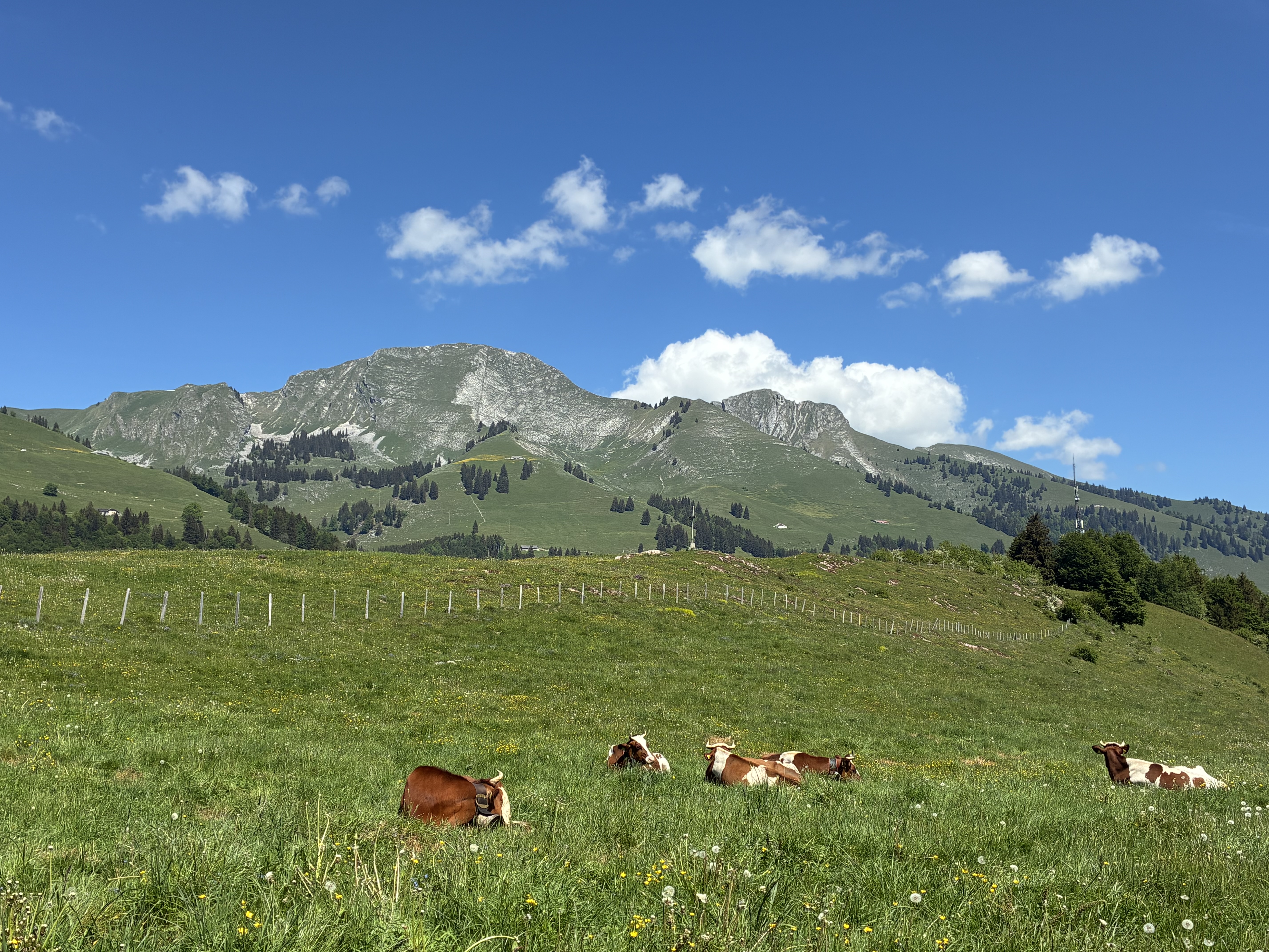 photo de Boucle Montbovon>Allières>Les Sciernes>Montb.