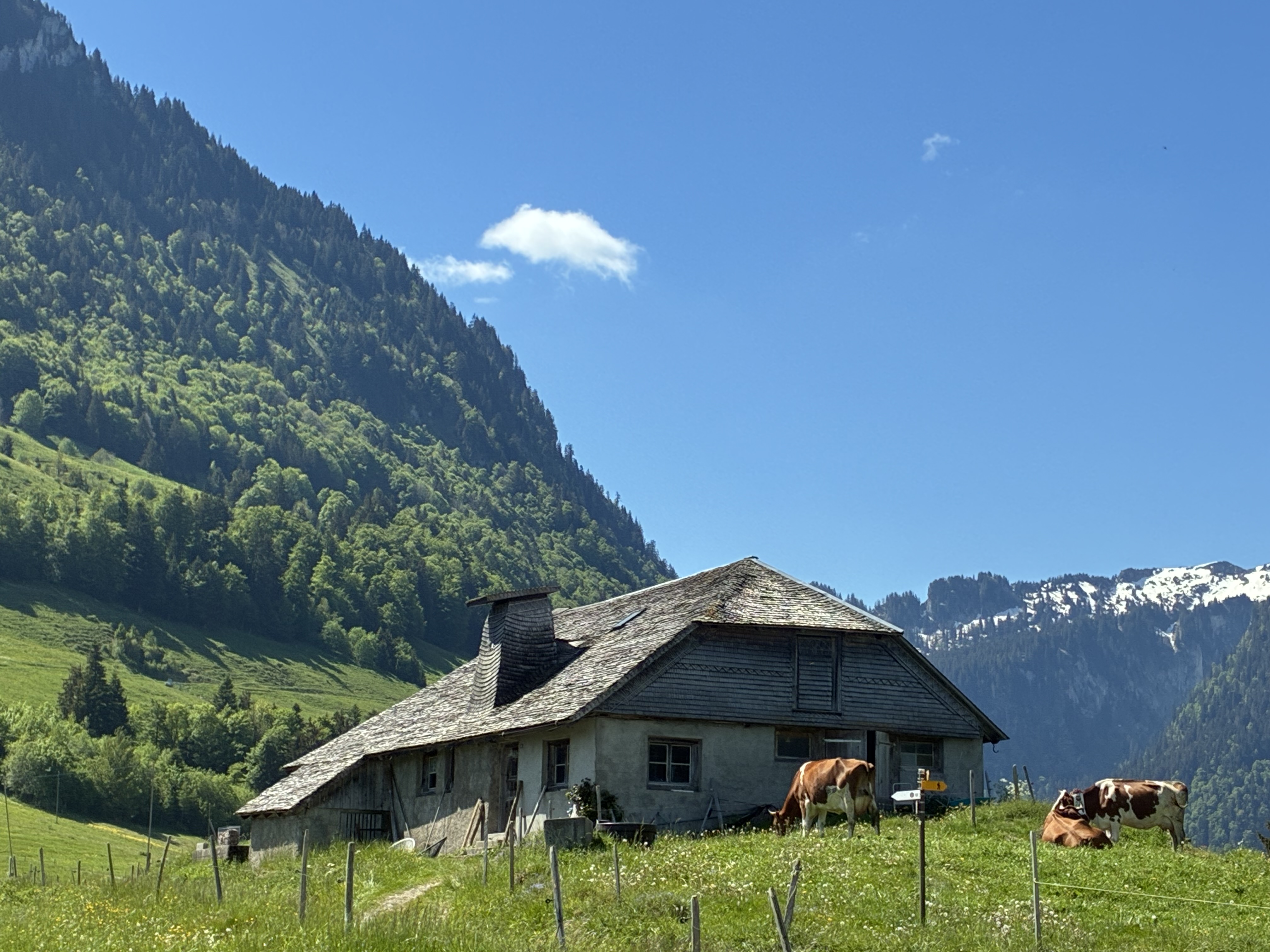 photo de Boucle Montbovon>Allières>Les Sciernes>Montb.