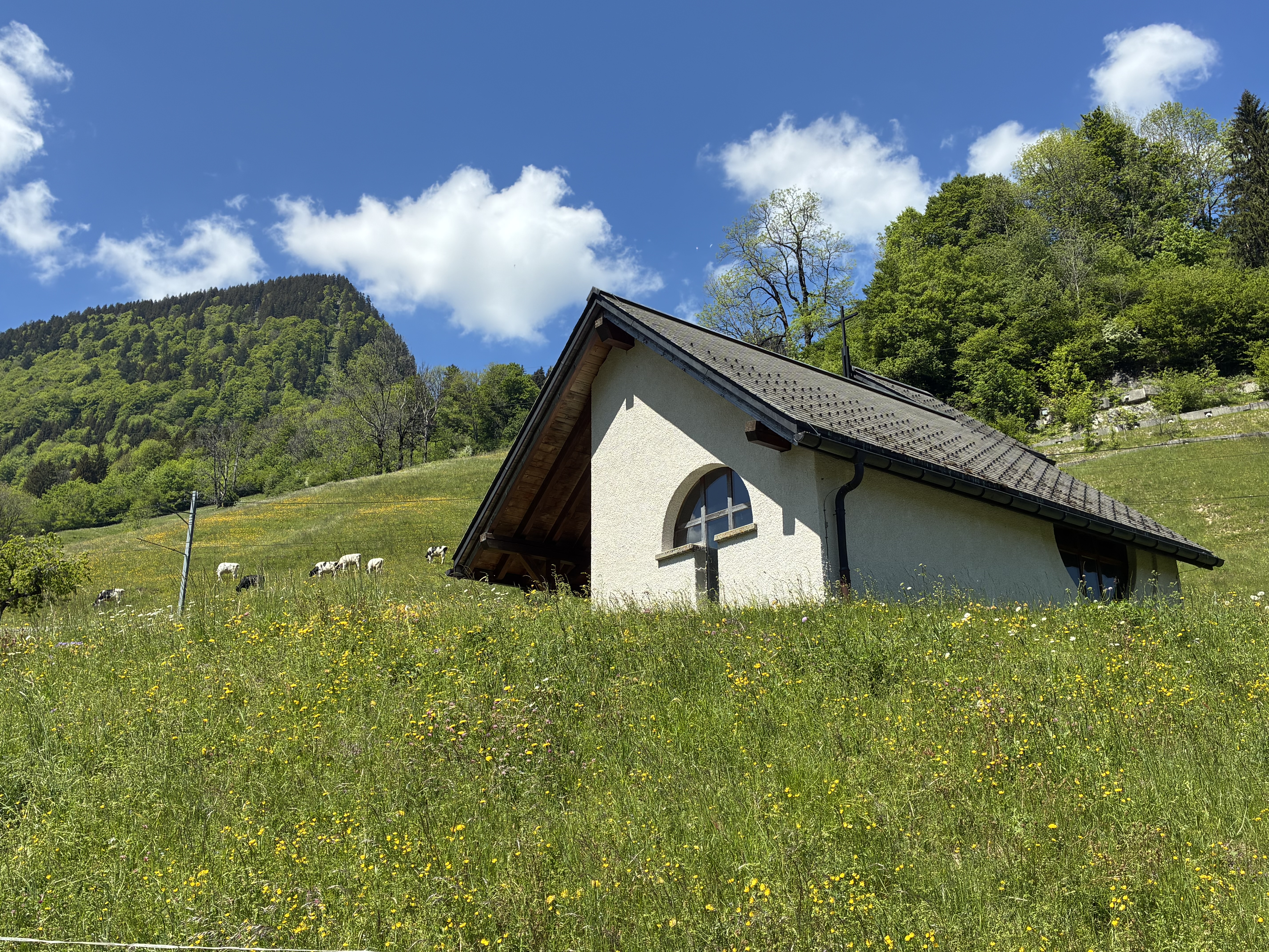 photo de Boucle Montbovon>Allières>Les Sciernes>Montb.