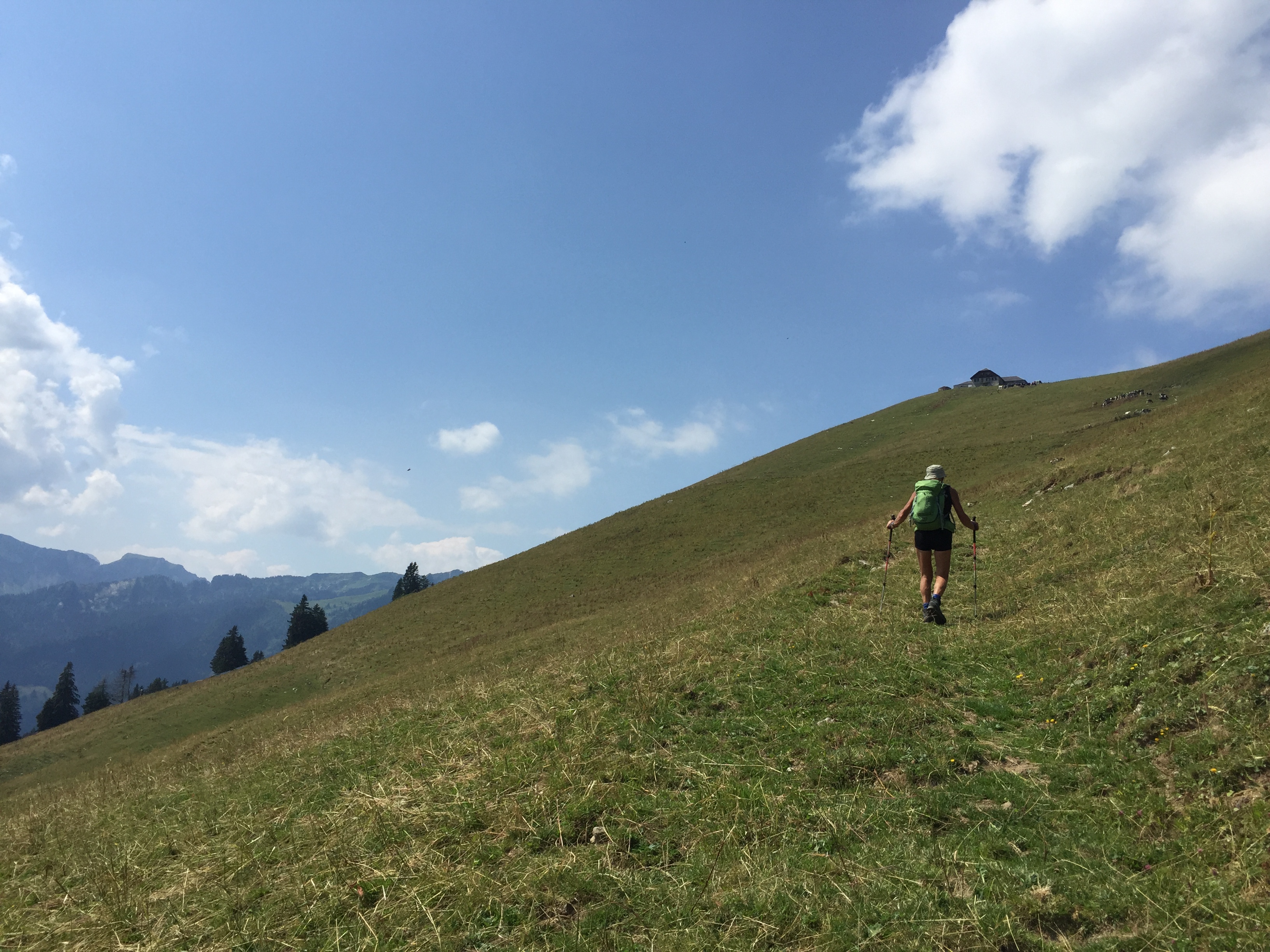 photo de Col de Lys
