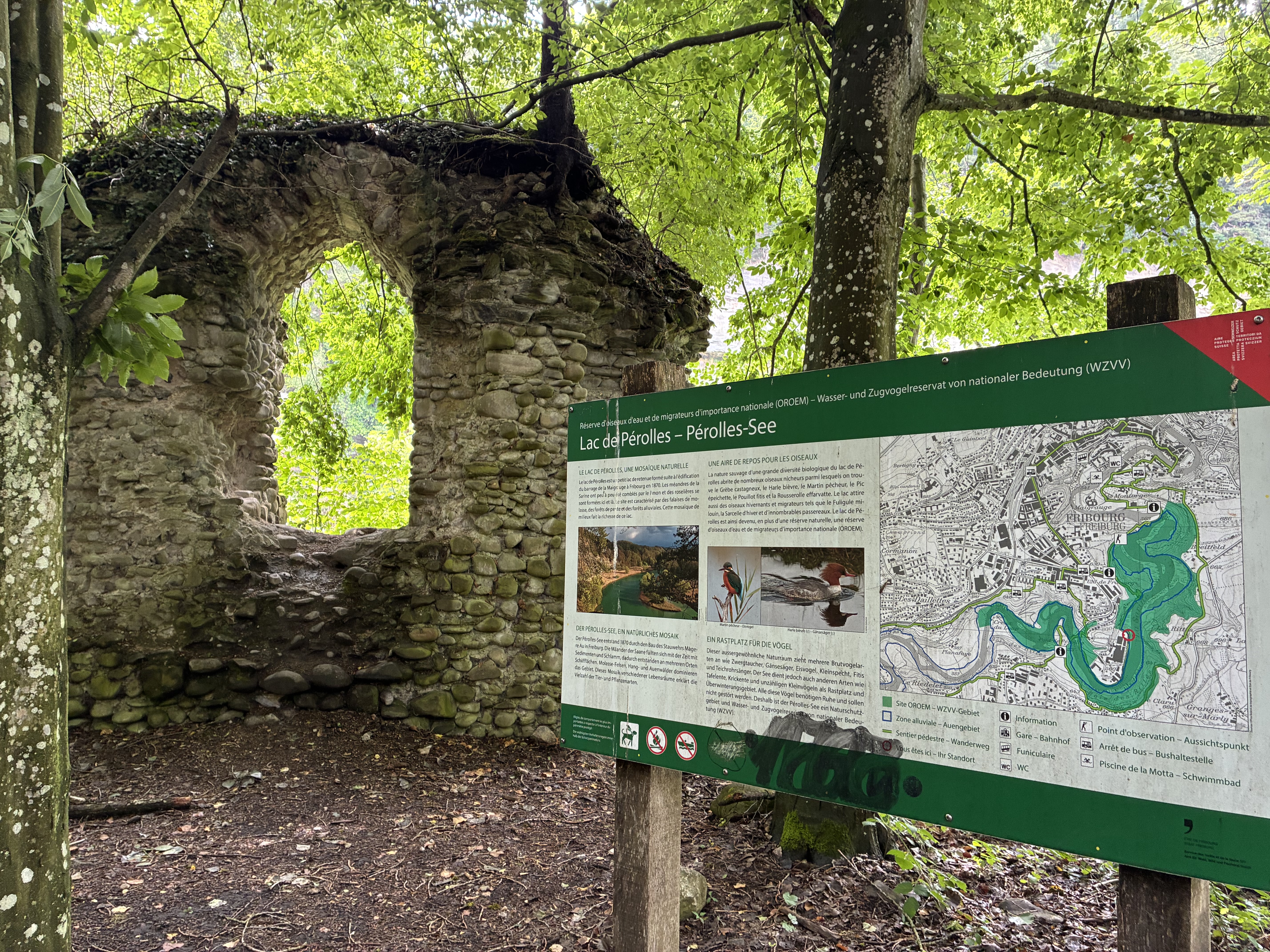 photo de Fribourg : Le tour des 3 rivières 