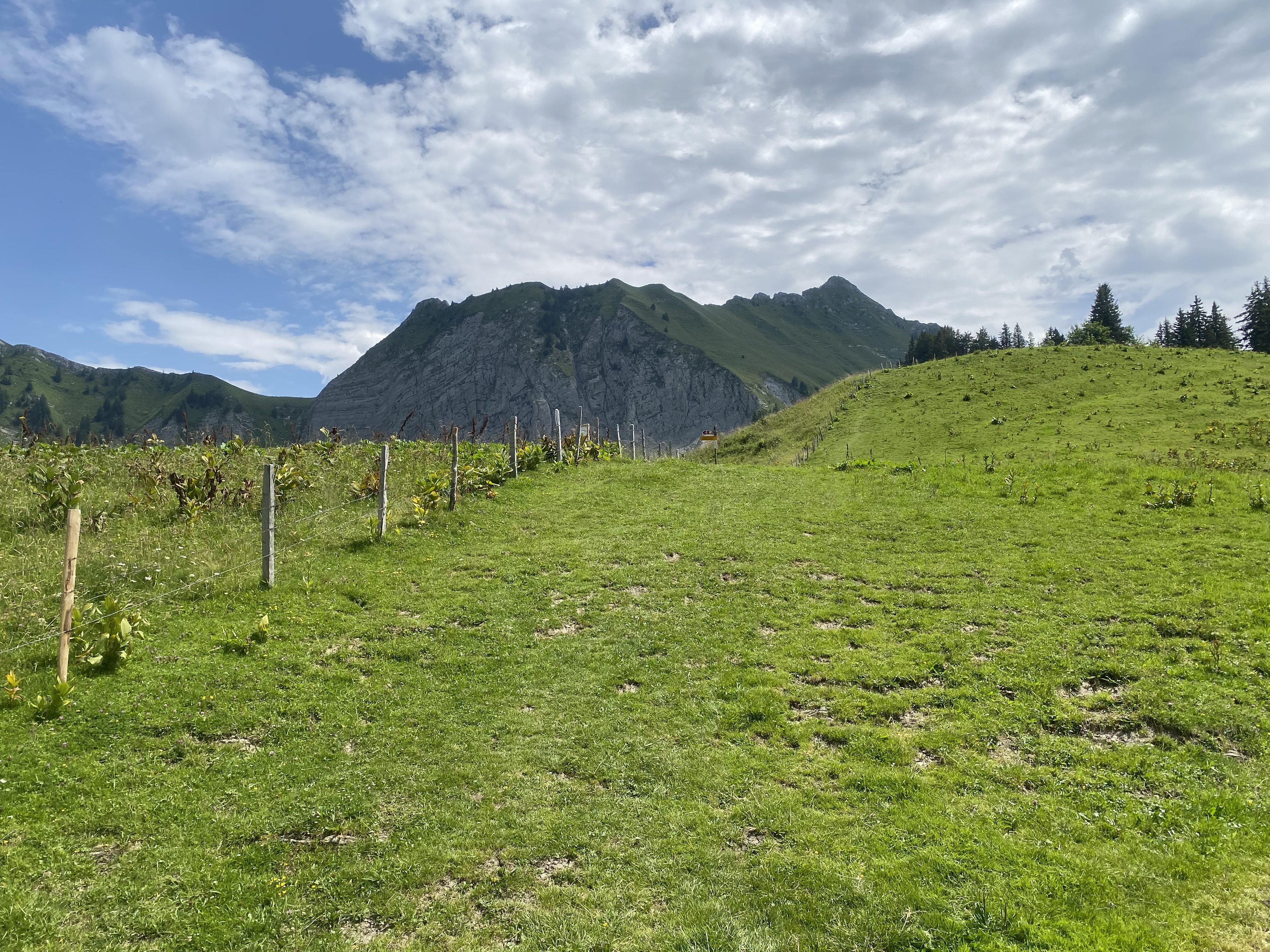 photo de Col de Pierra Perchia