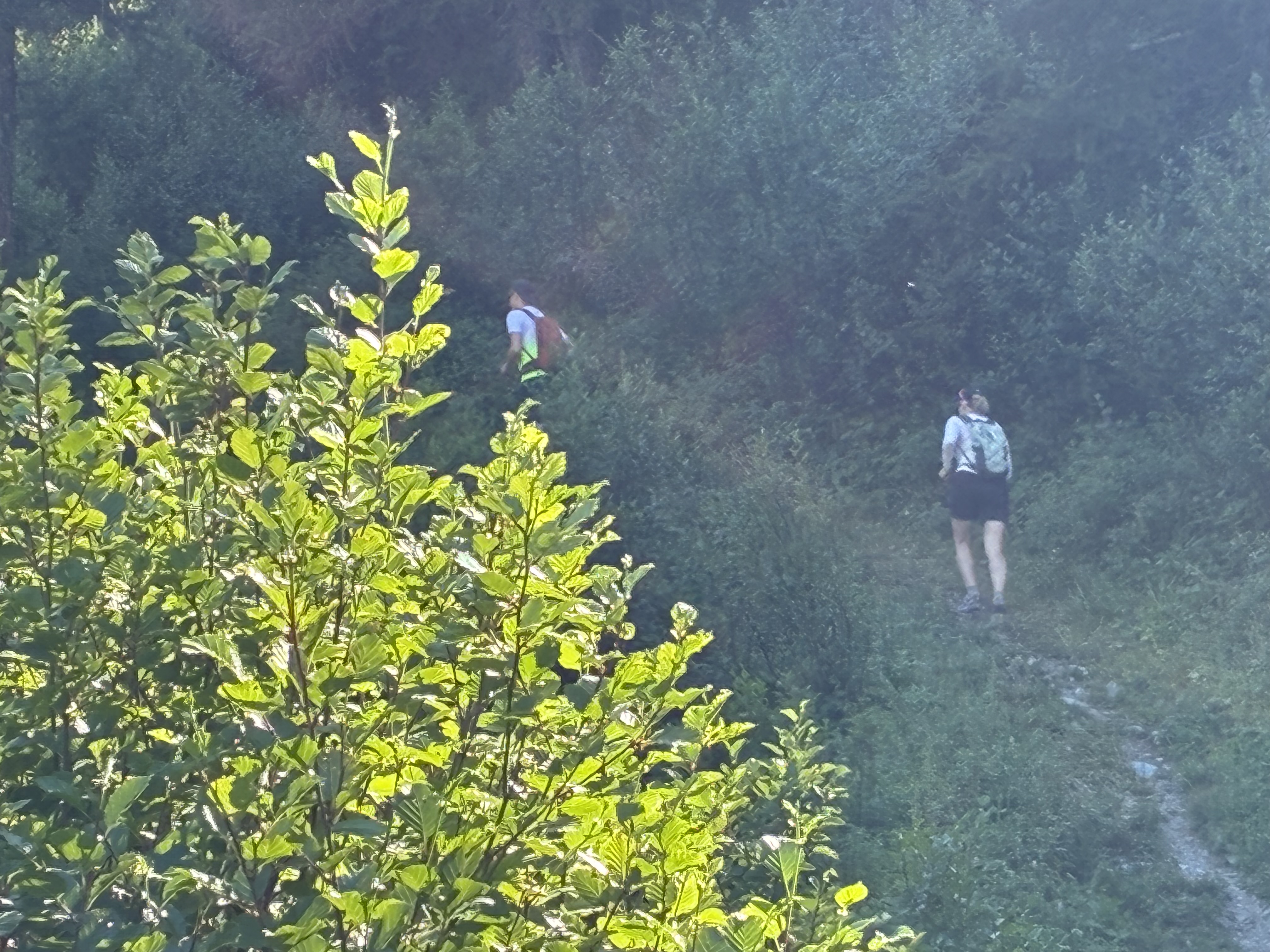 photo de Mont Brûlé