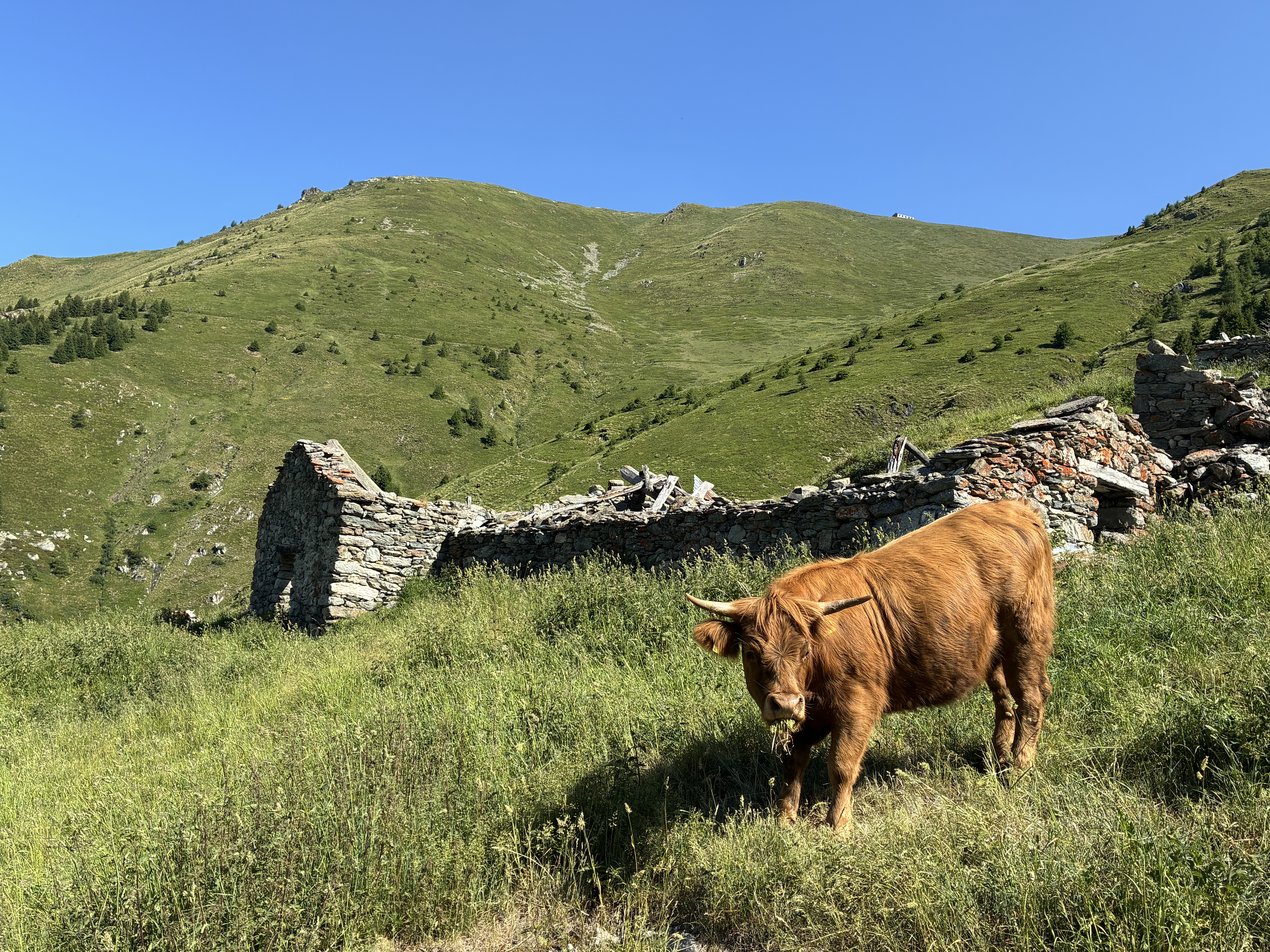photo de Mont Brûlé