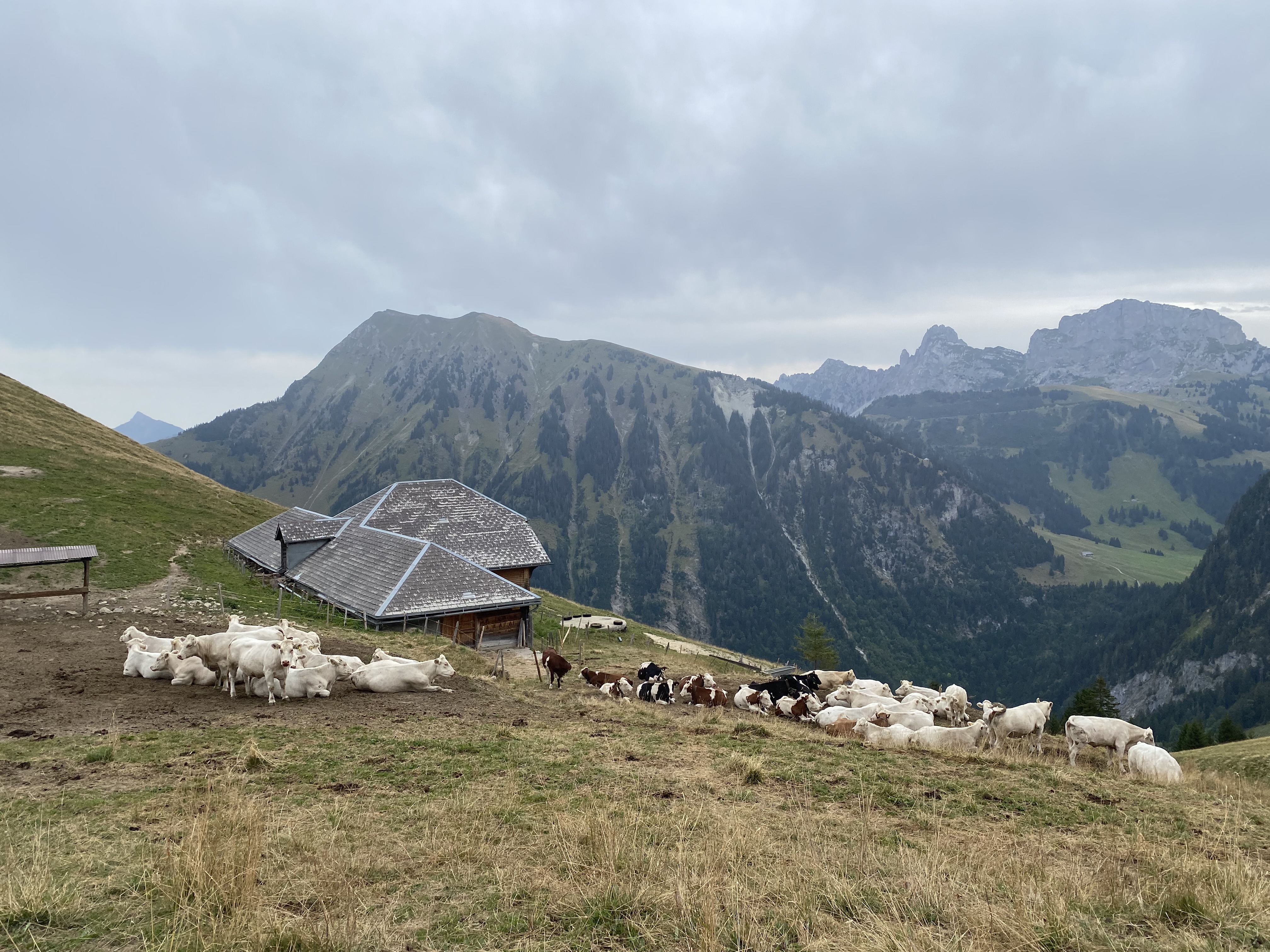 Chalet Les Noires Joux