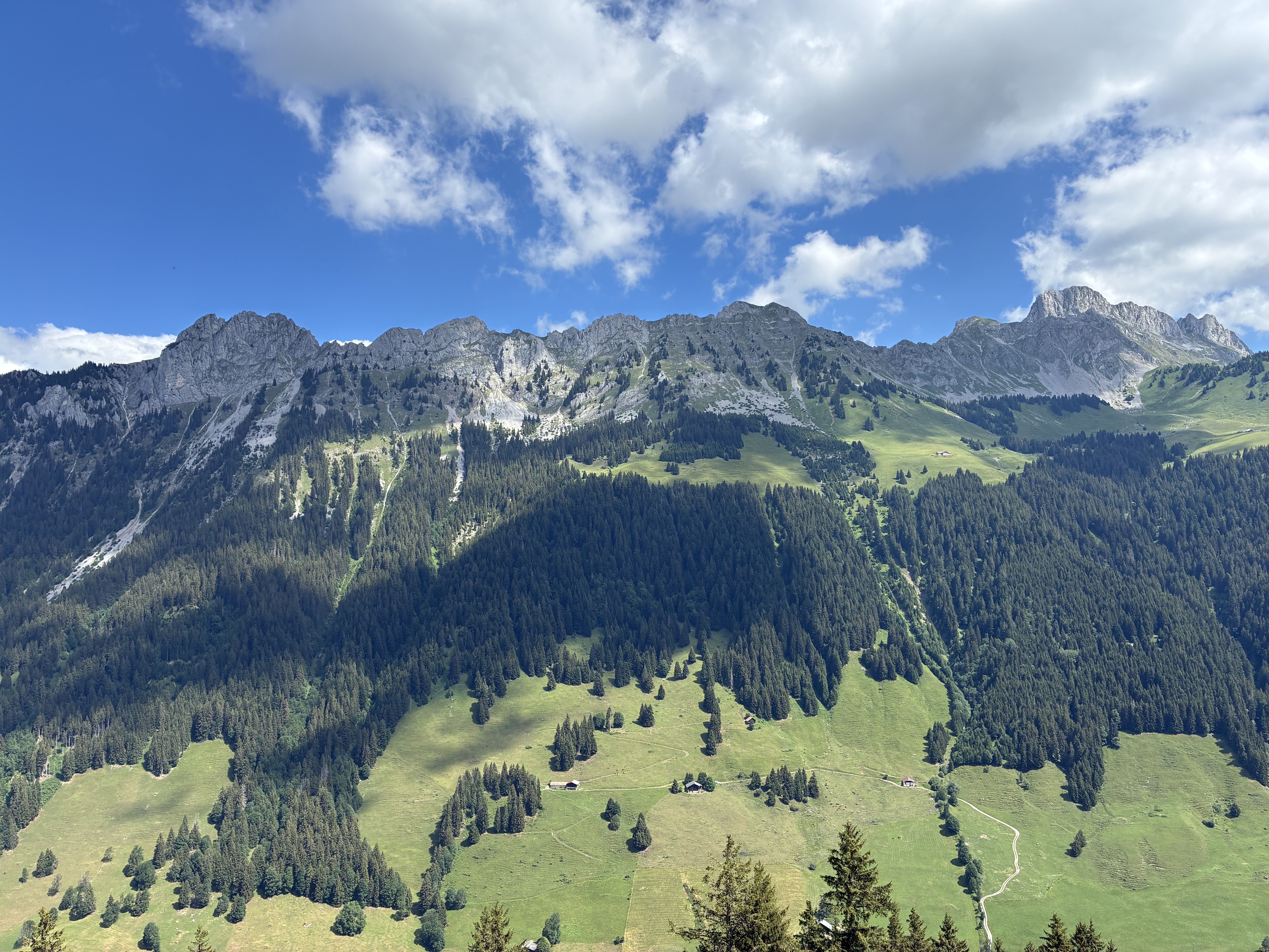 photo de Tête à Josué