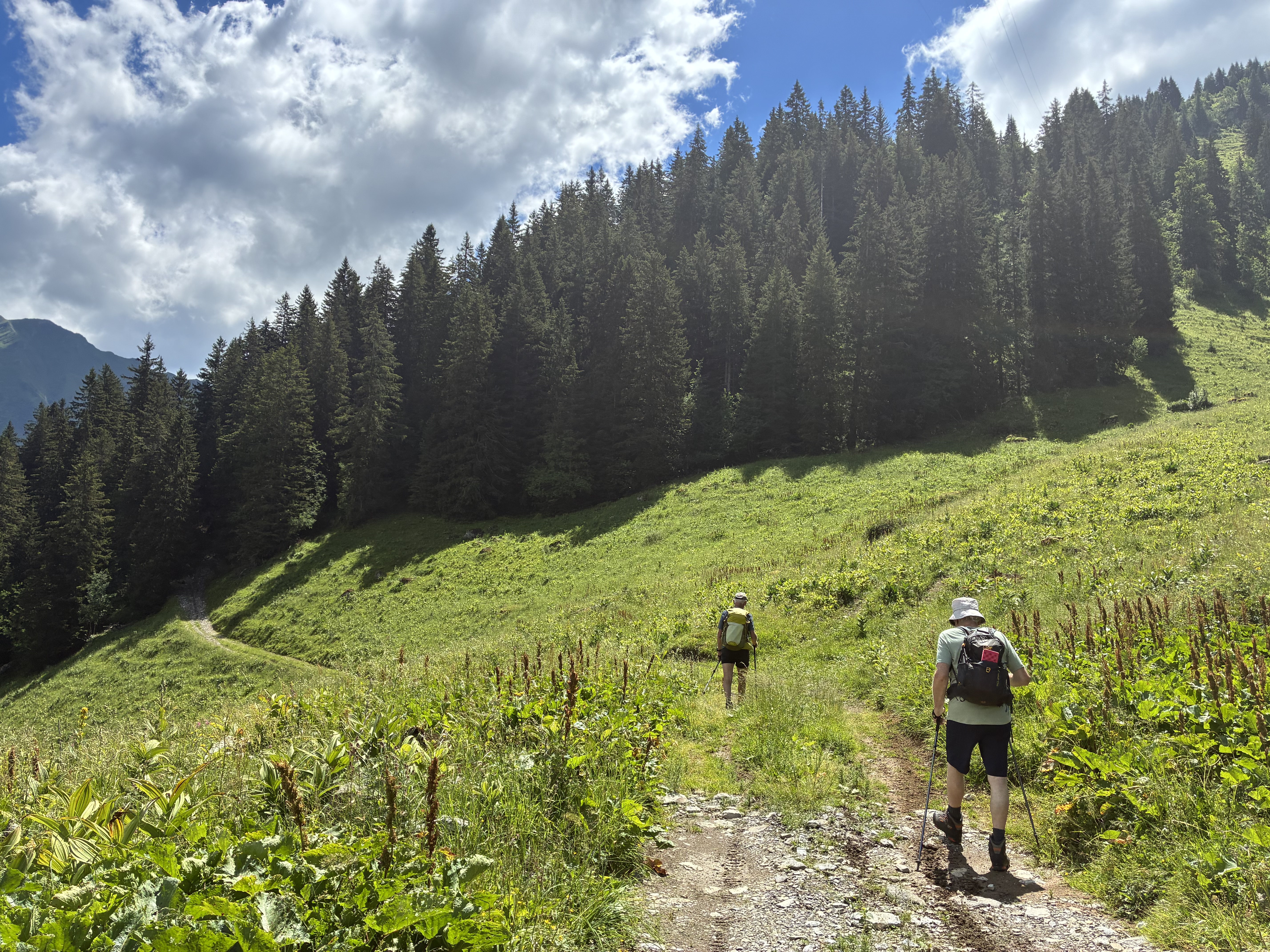 photo de Tête à Josué