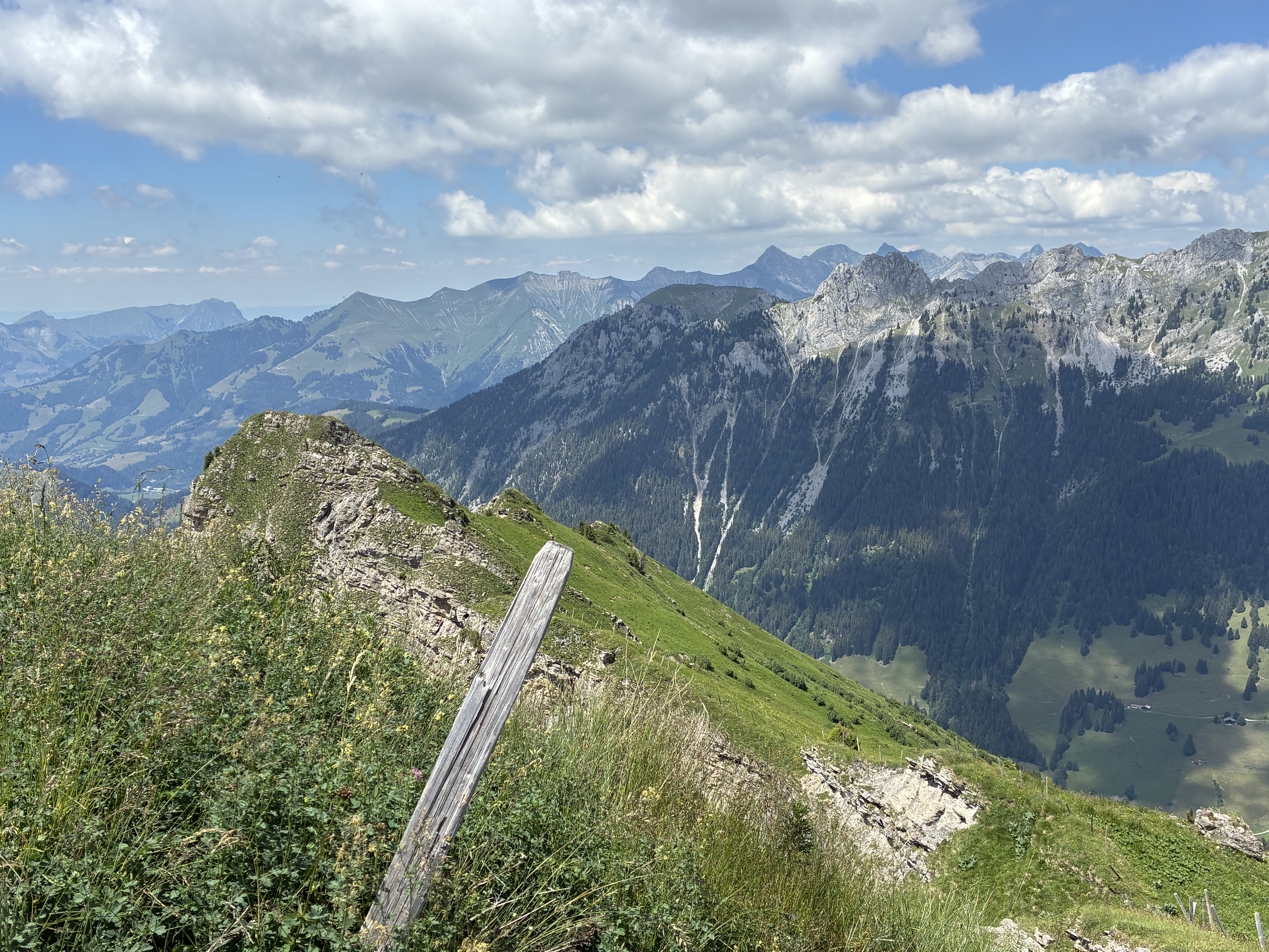 photo de Tête à Josué