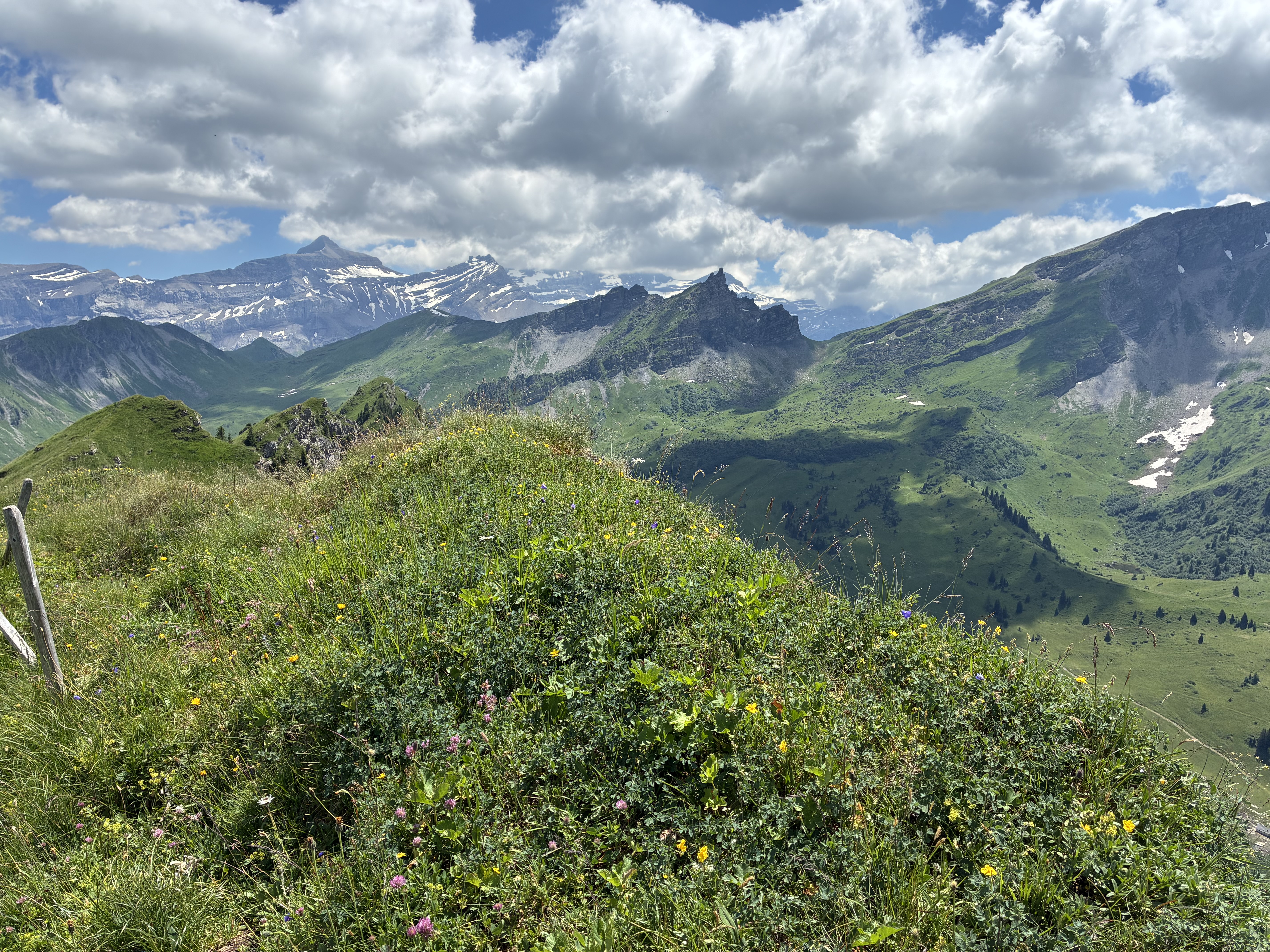 photo de Tête à Josué