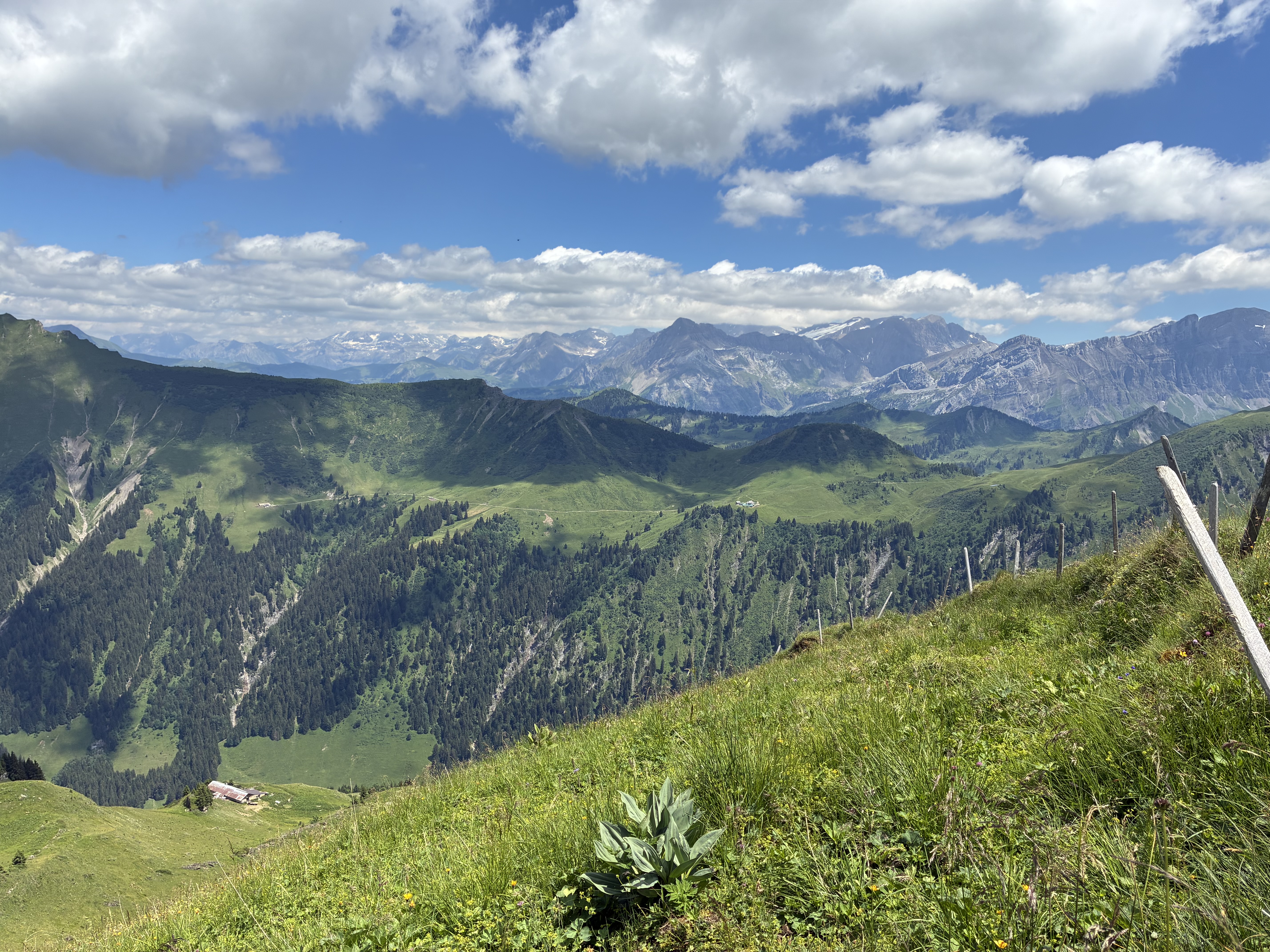 photo de Tête à Josué