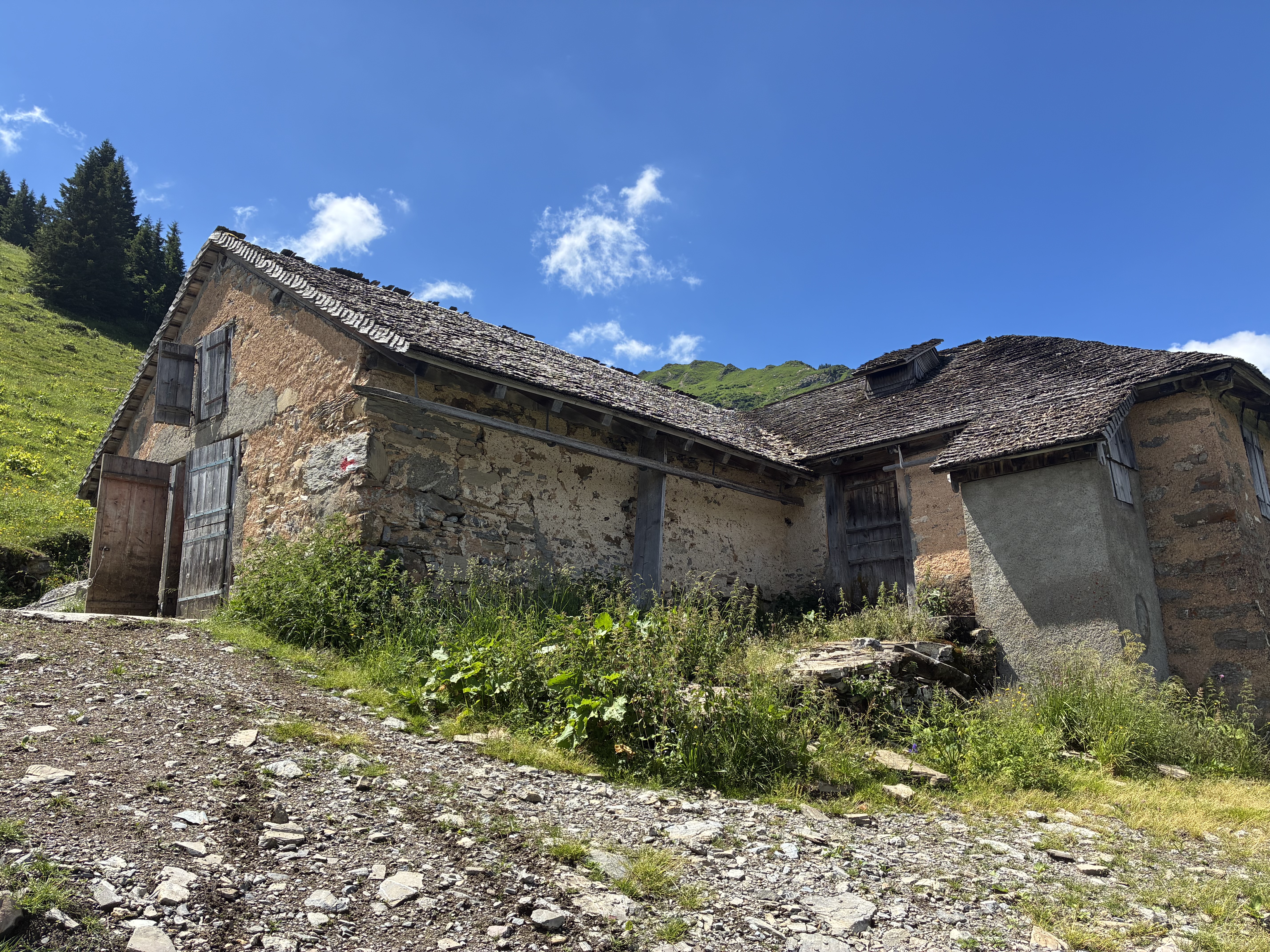 photo de Tête à Josué