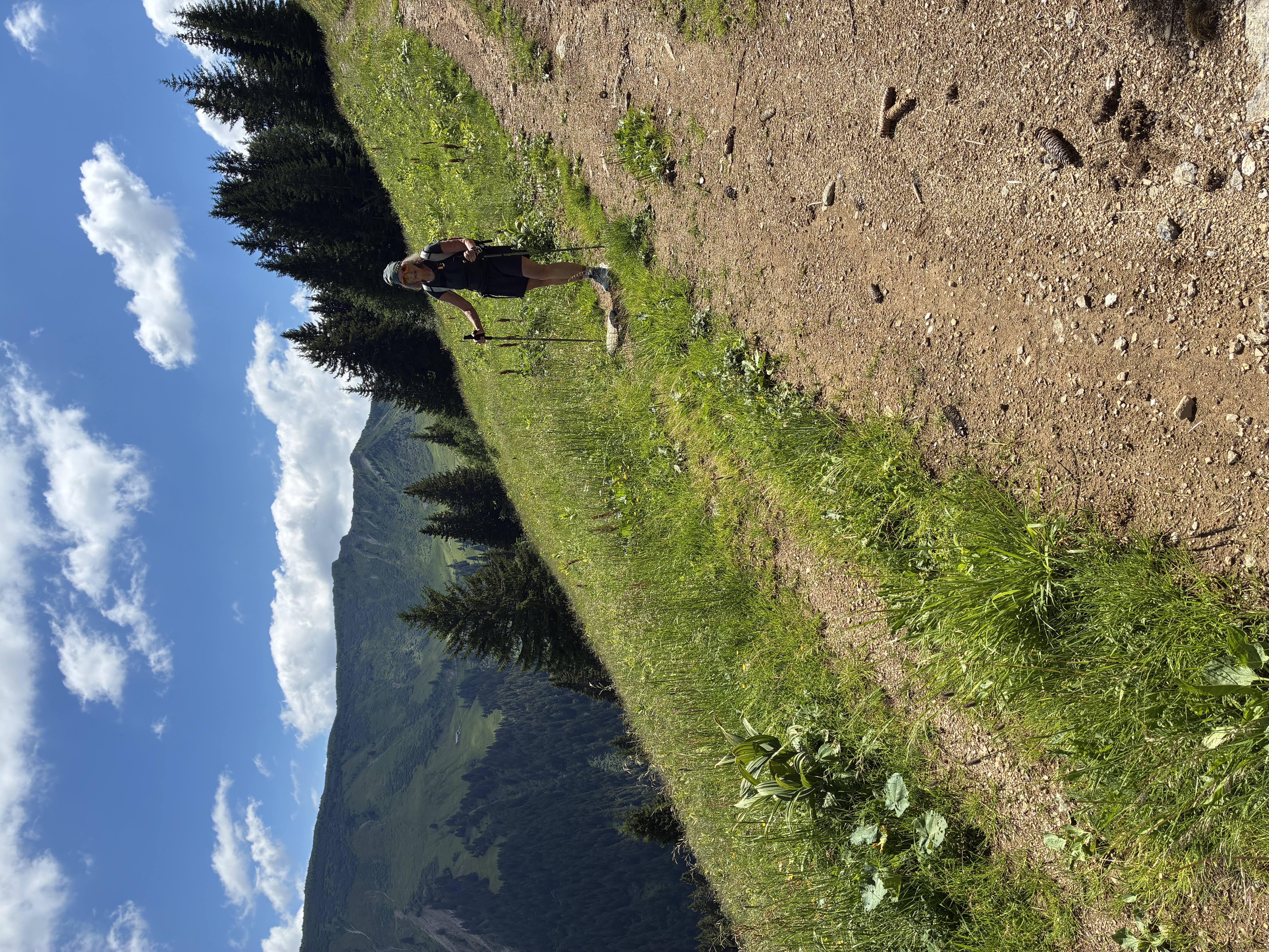 photo de Tête à Josué