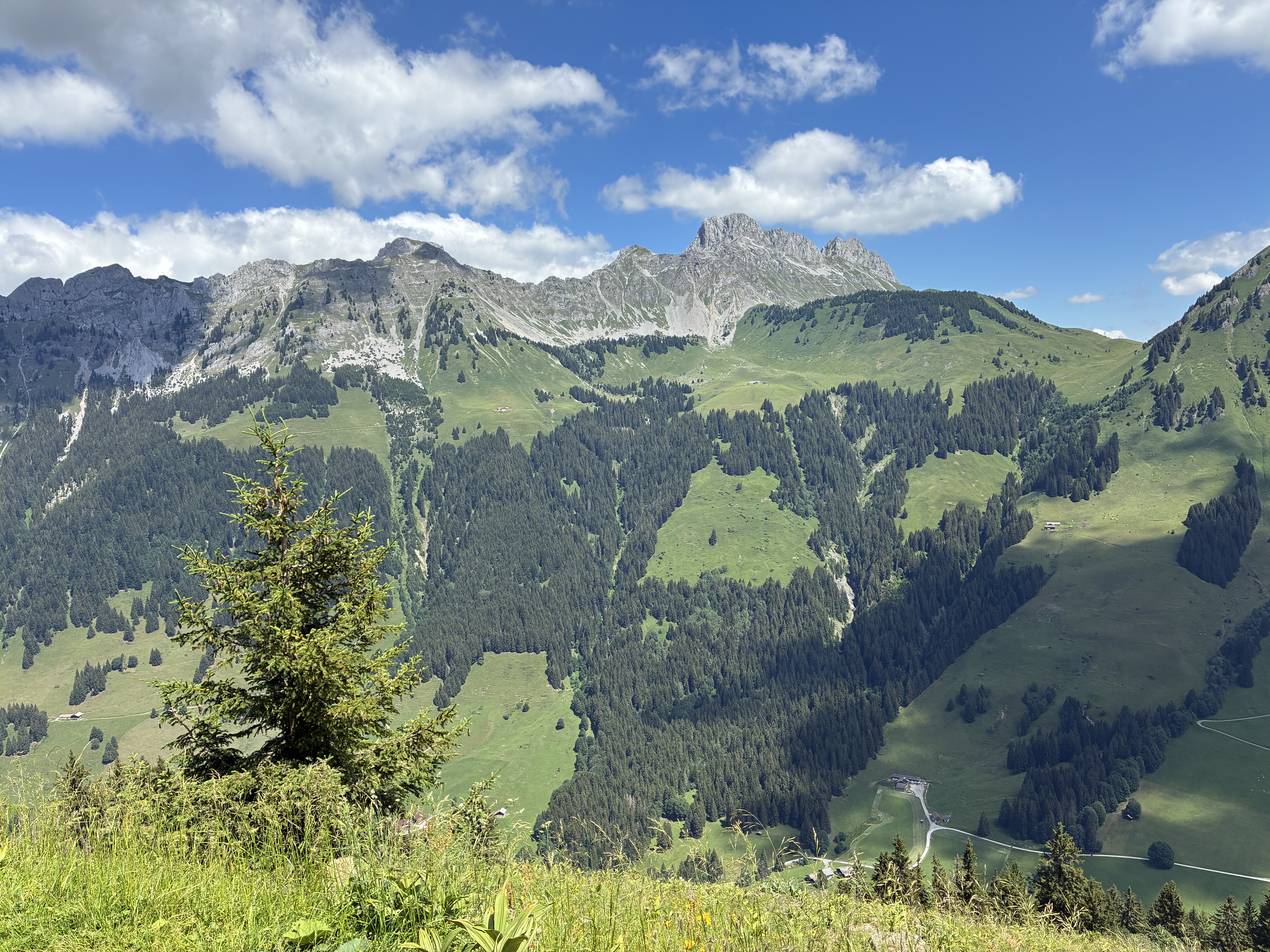 photo de Tête à Josué
