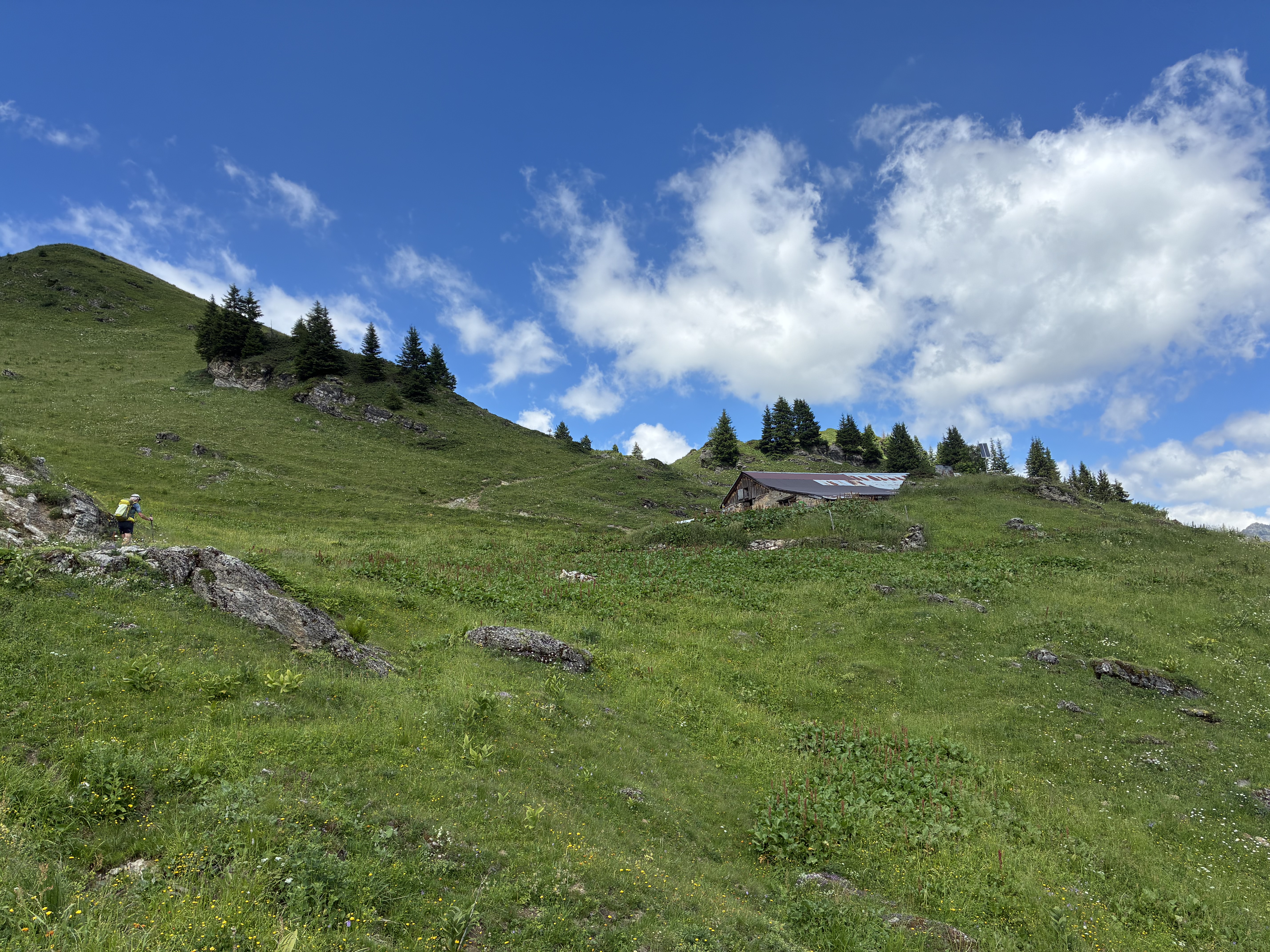 photo de Tête à Josué