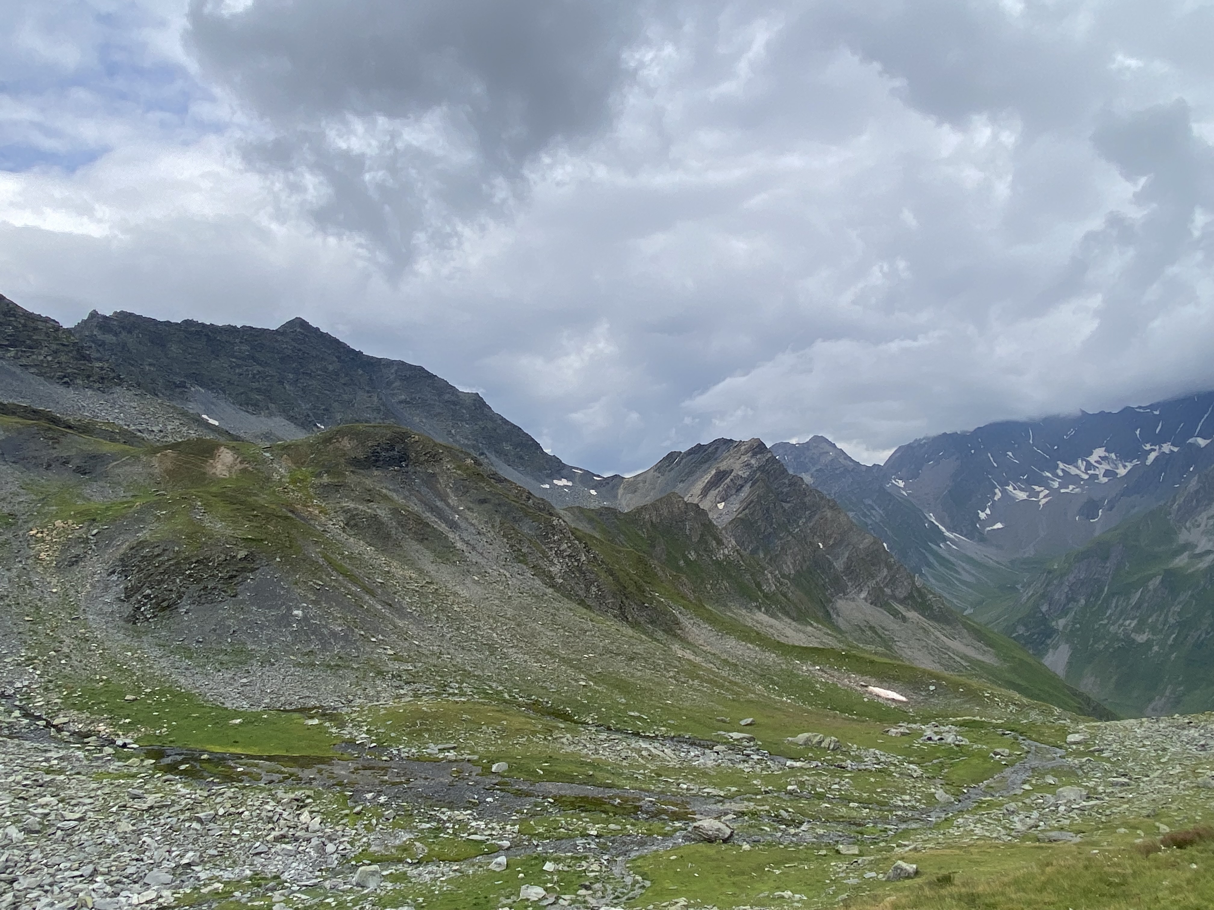 photo de Fenêtre de Ferret