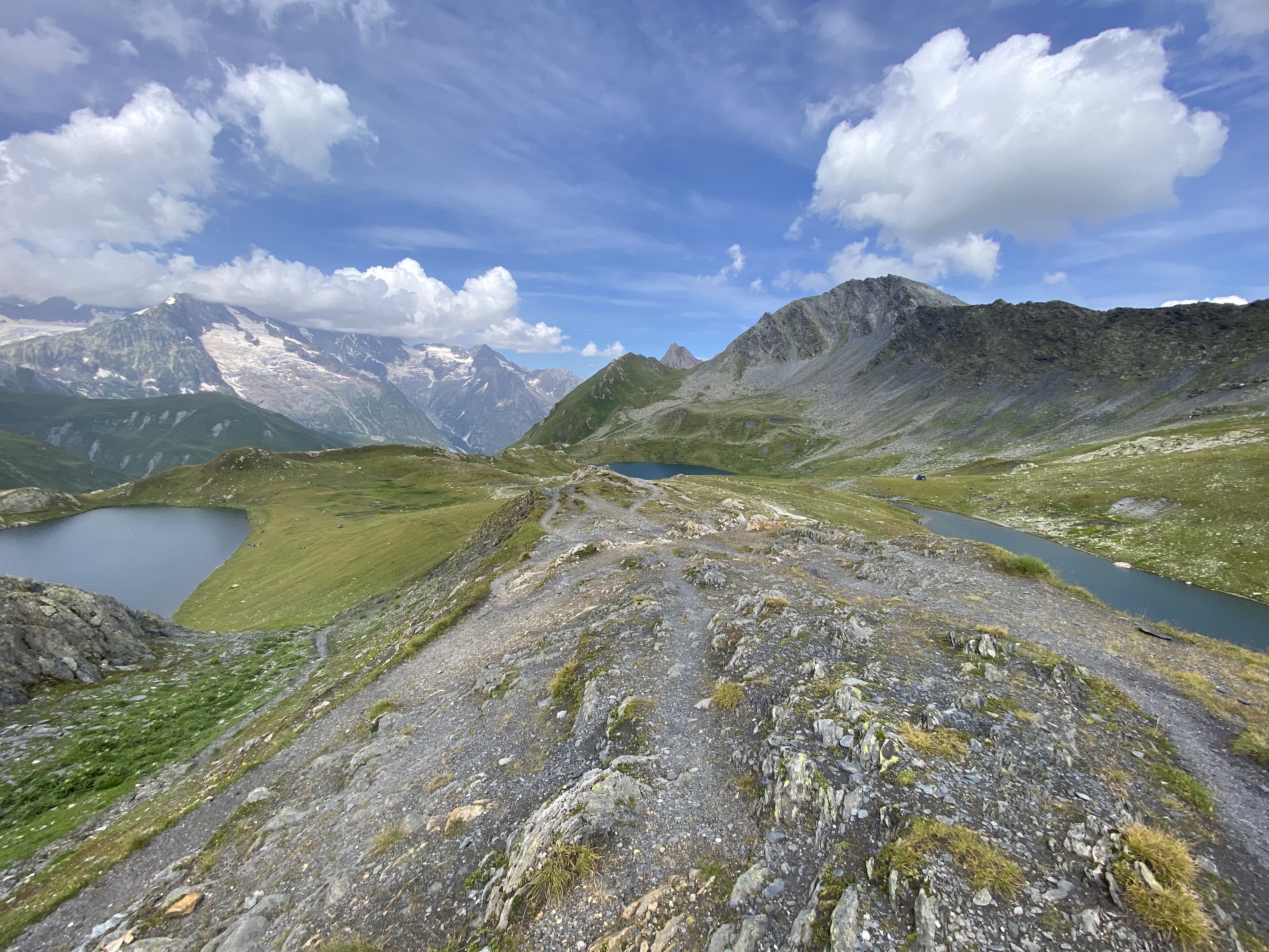 photo de Fenêtre de Ferret