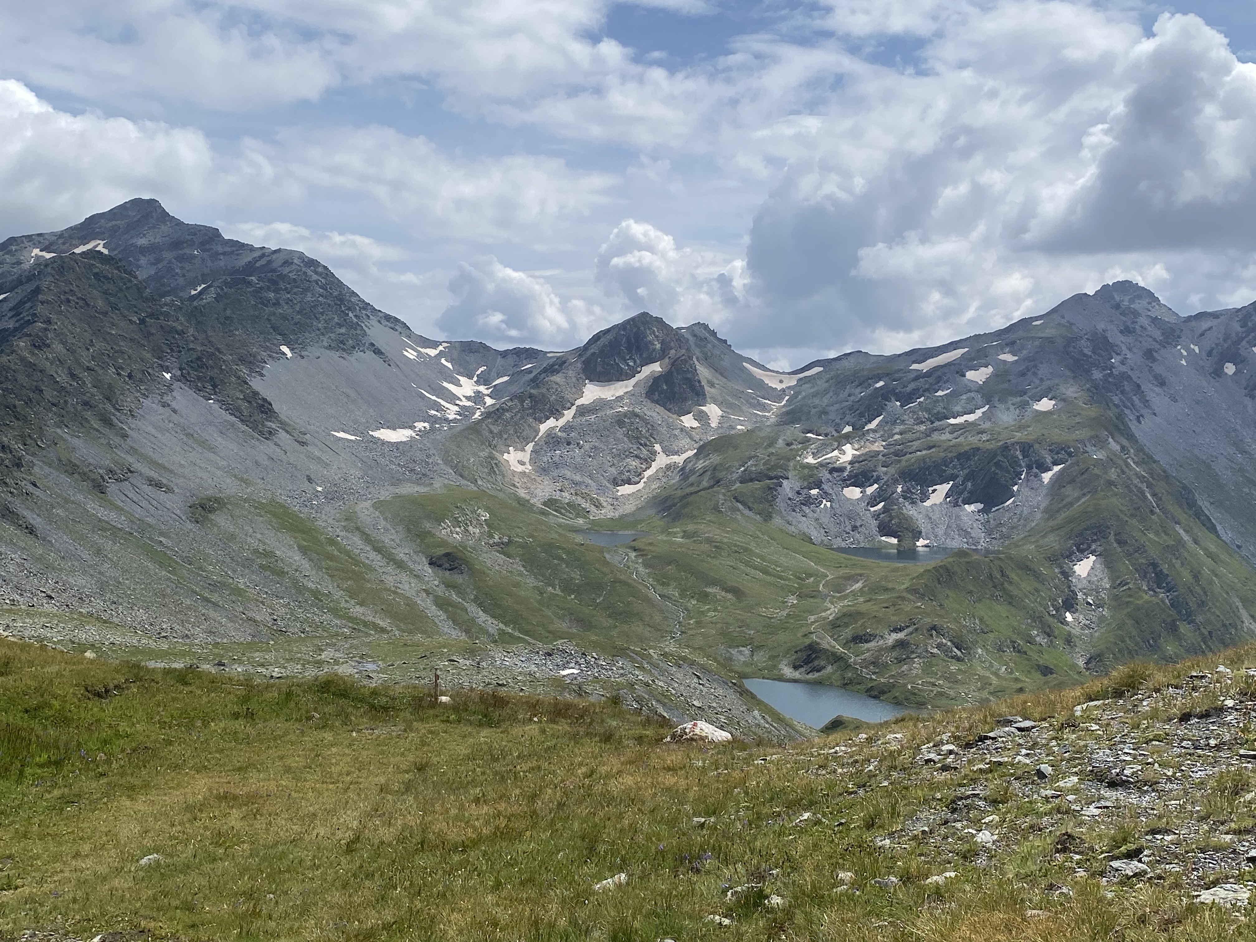 photo de Fenêtre de Ferret