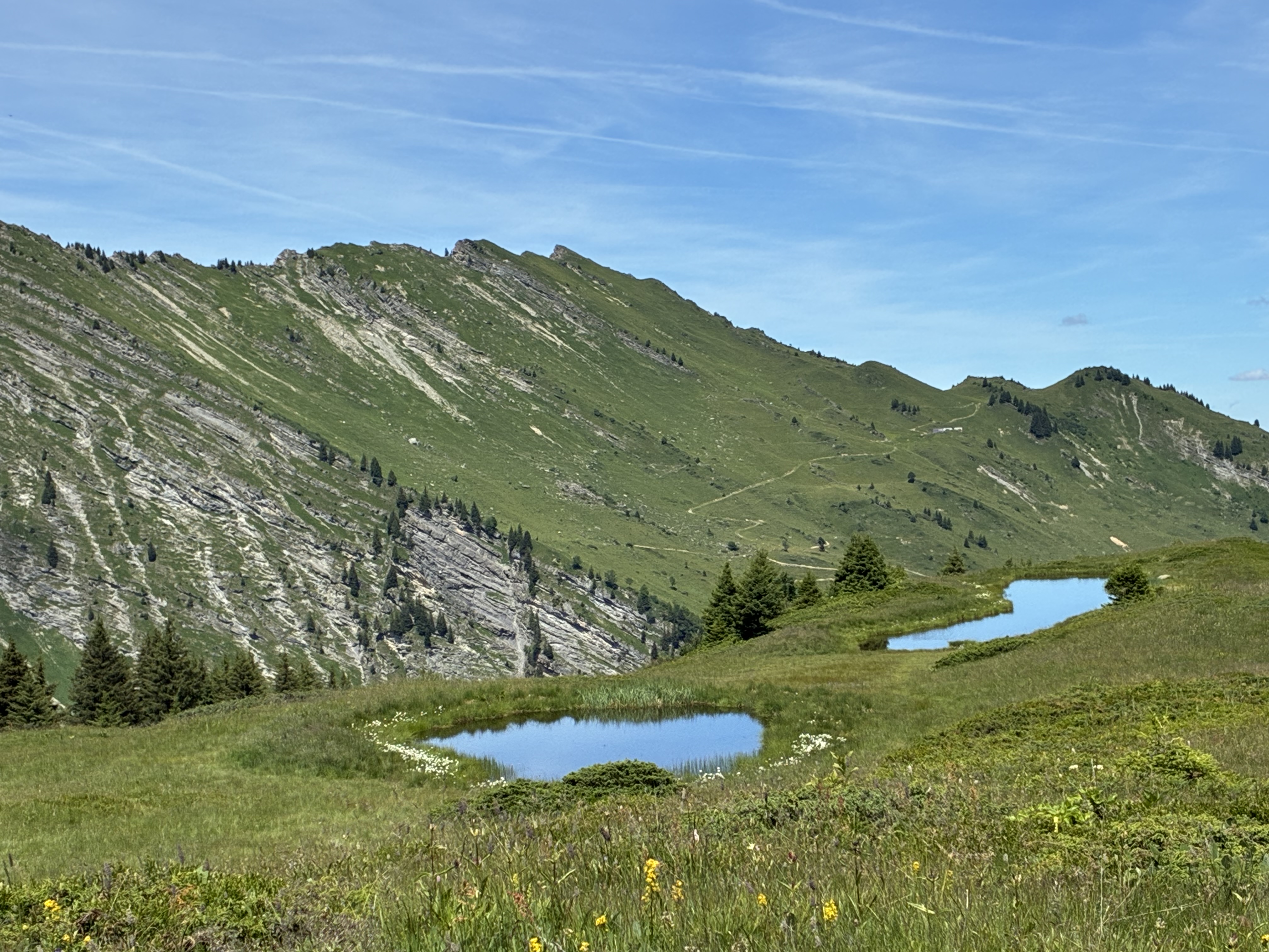 photo de Palette d'Isenau (La)