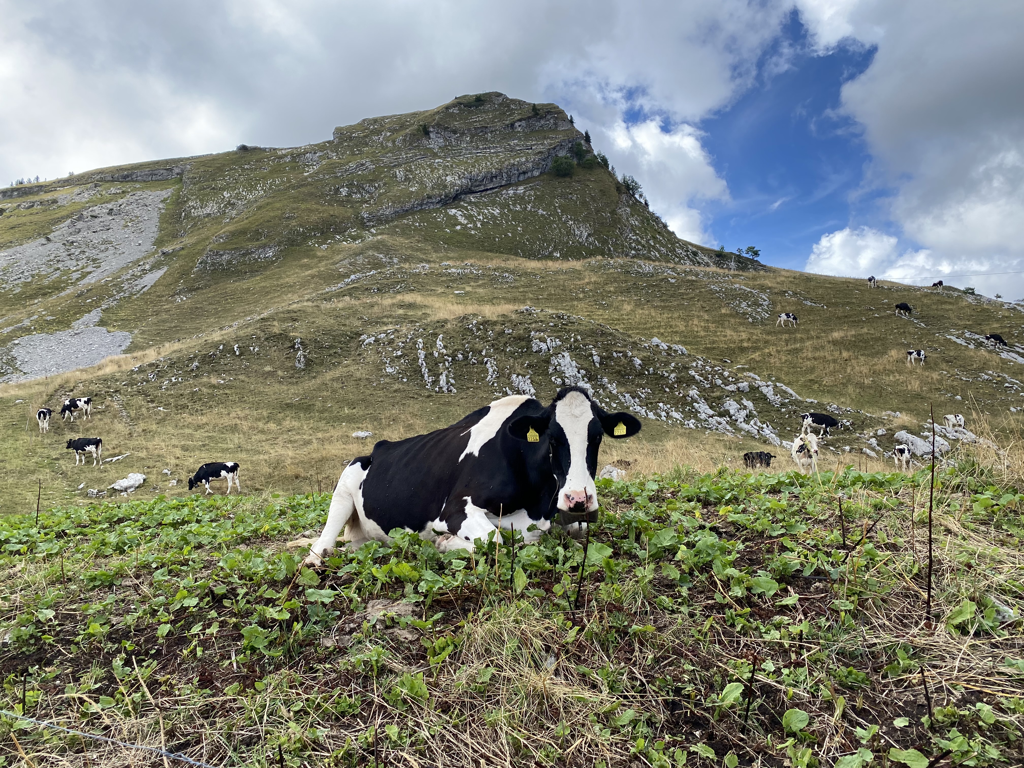 Elle n\'est pas impressionnée par notre passage